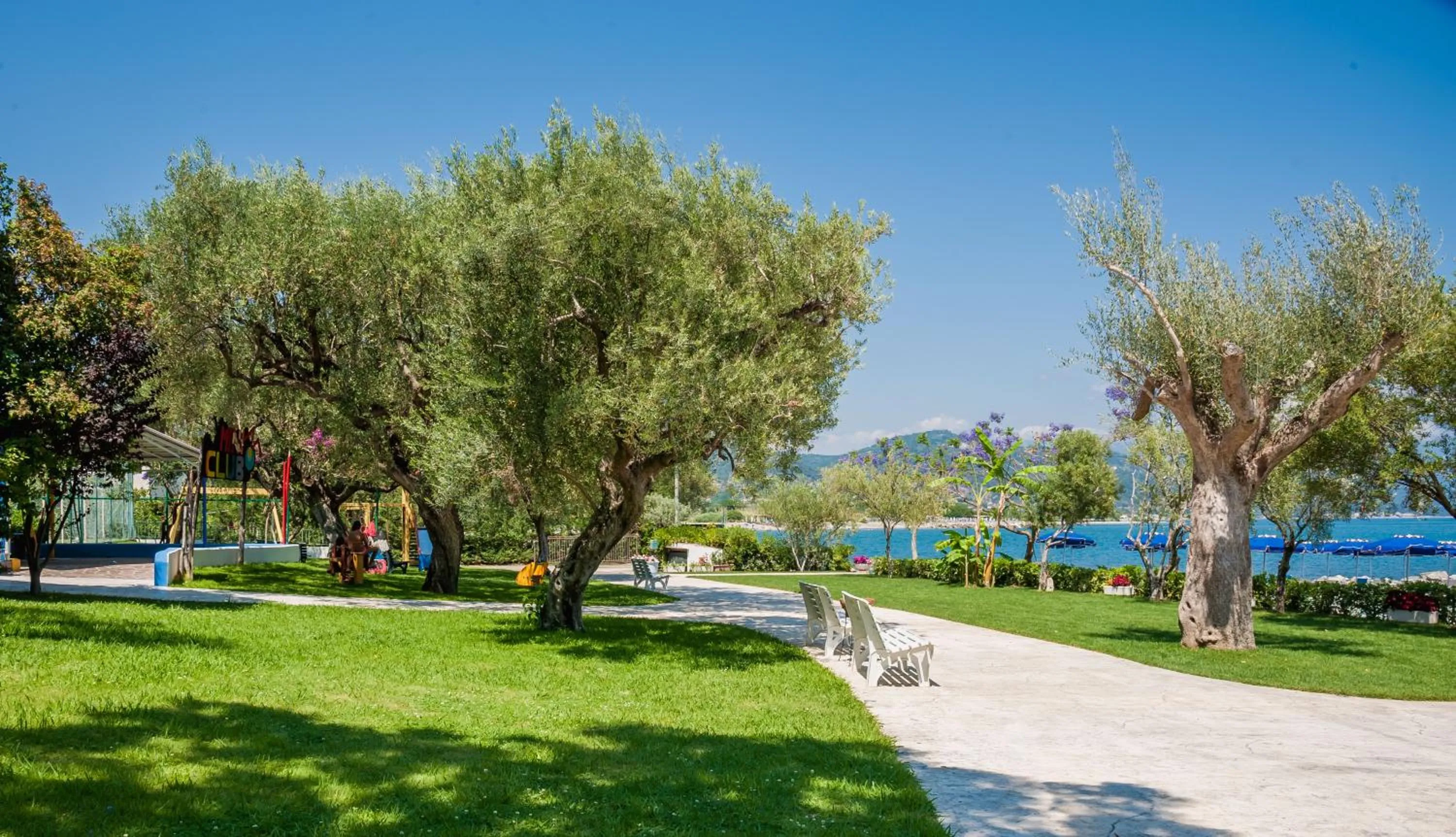 Garden view in Hotel Torre Oliva