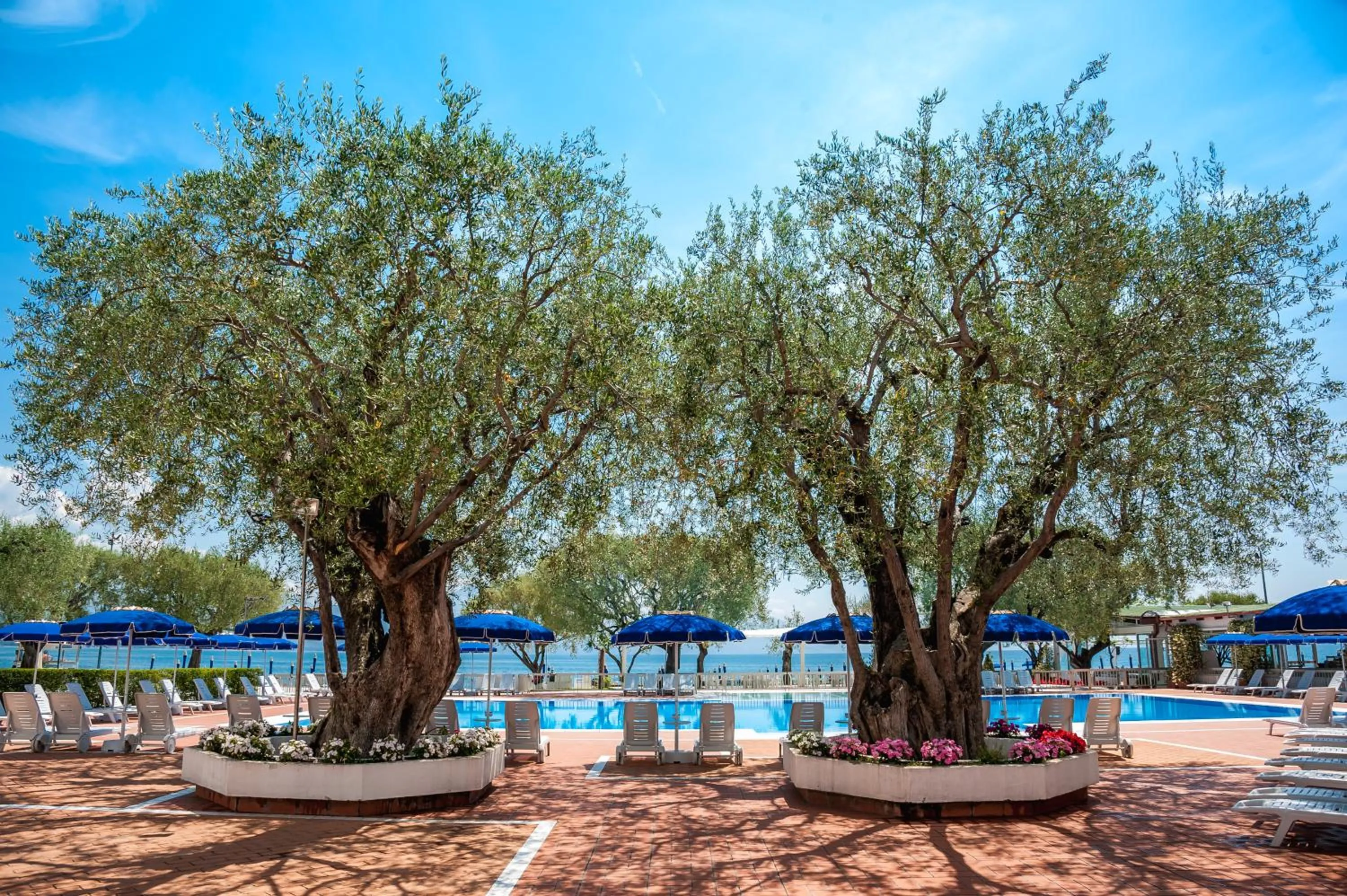 Pool view in Hotel Torre Oliva