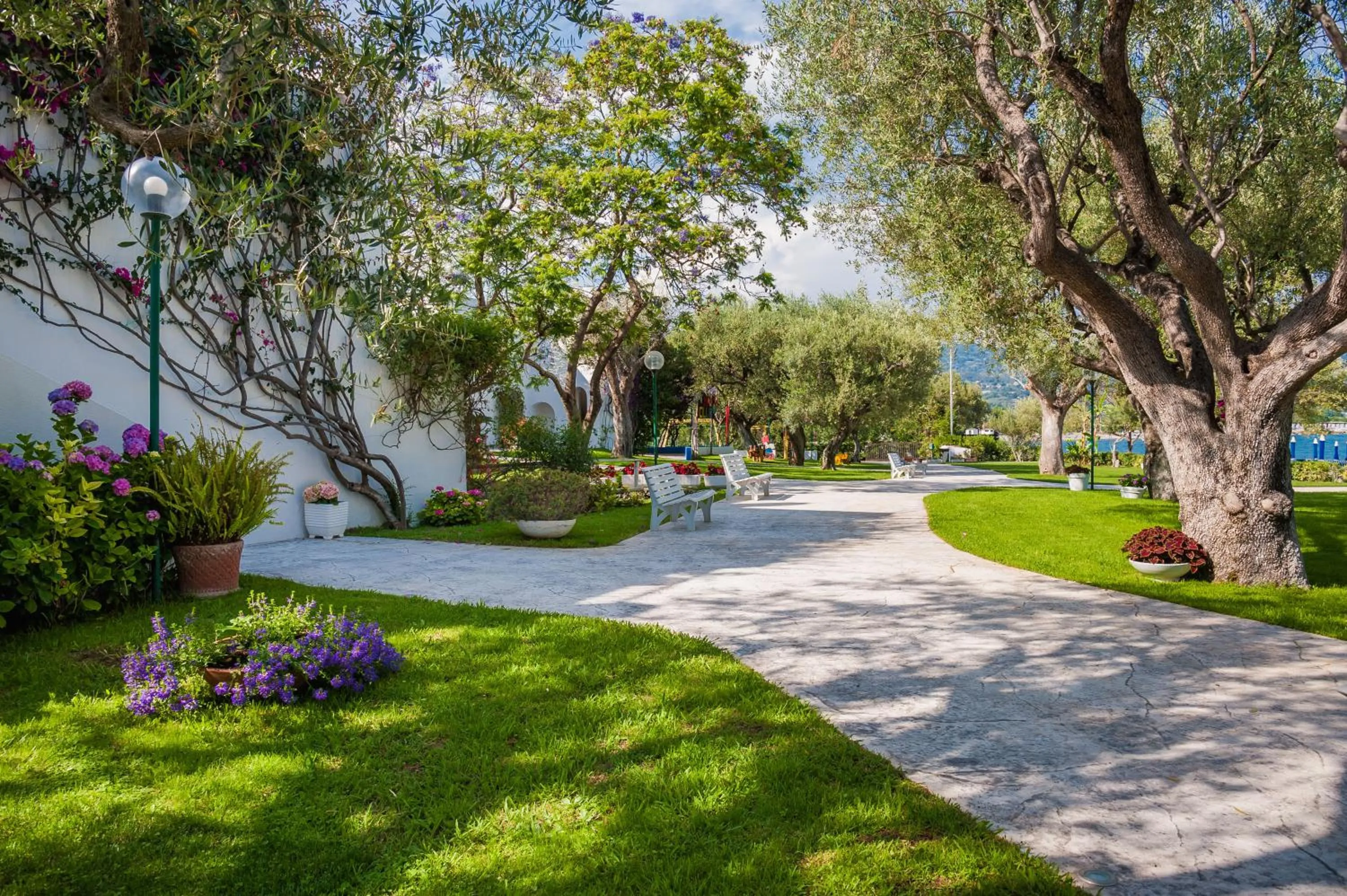 Garden view in Hotel Torre Oliva