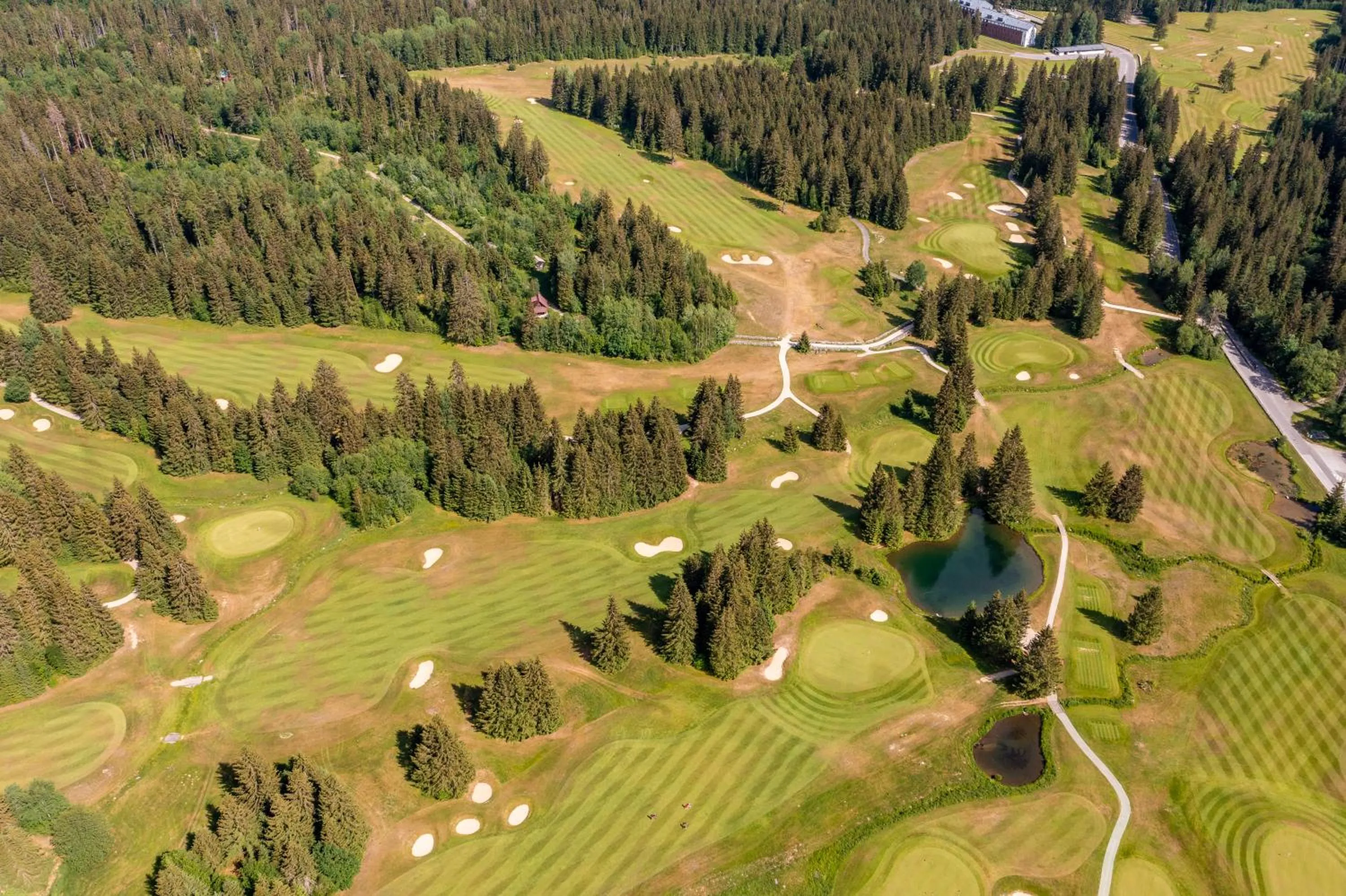 Natural landscape in Hotel Stupka