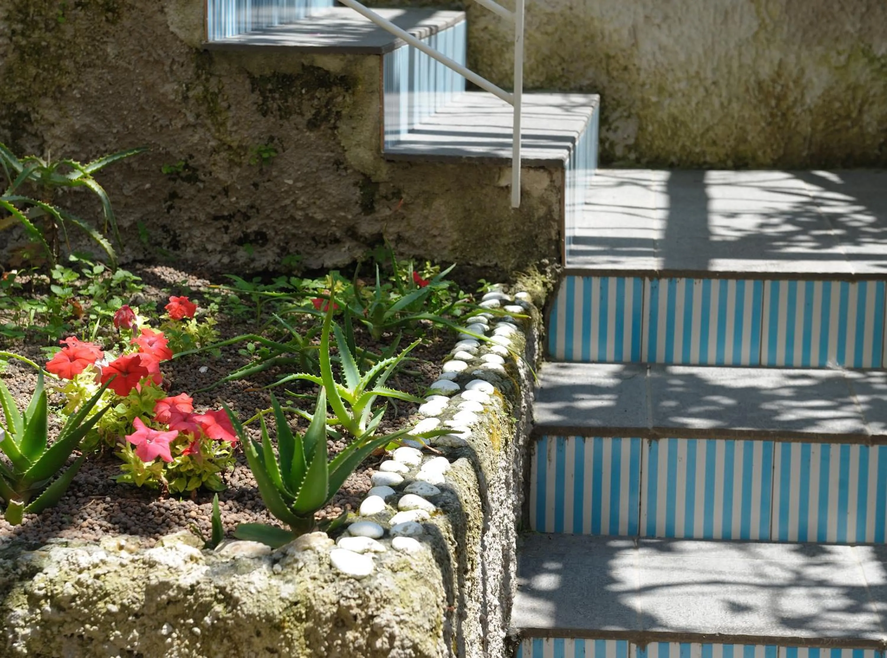 Area and facilities in Residence La Dolce Vita