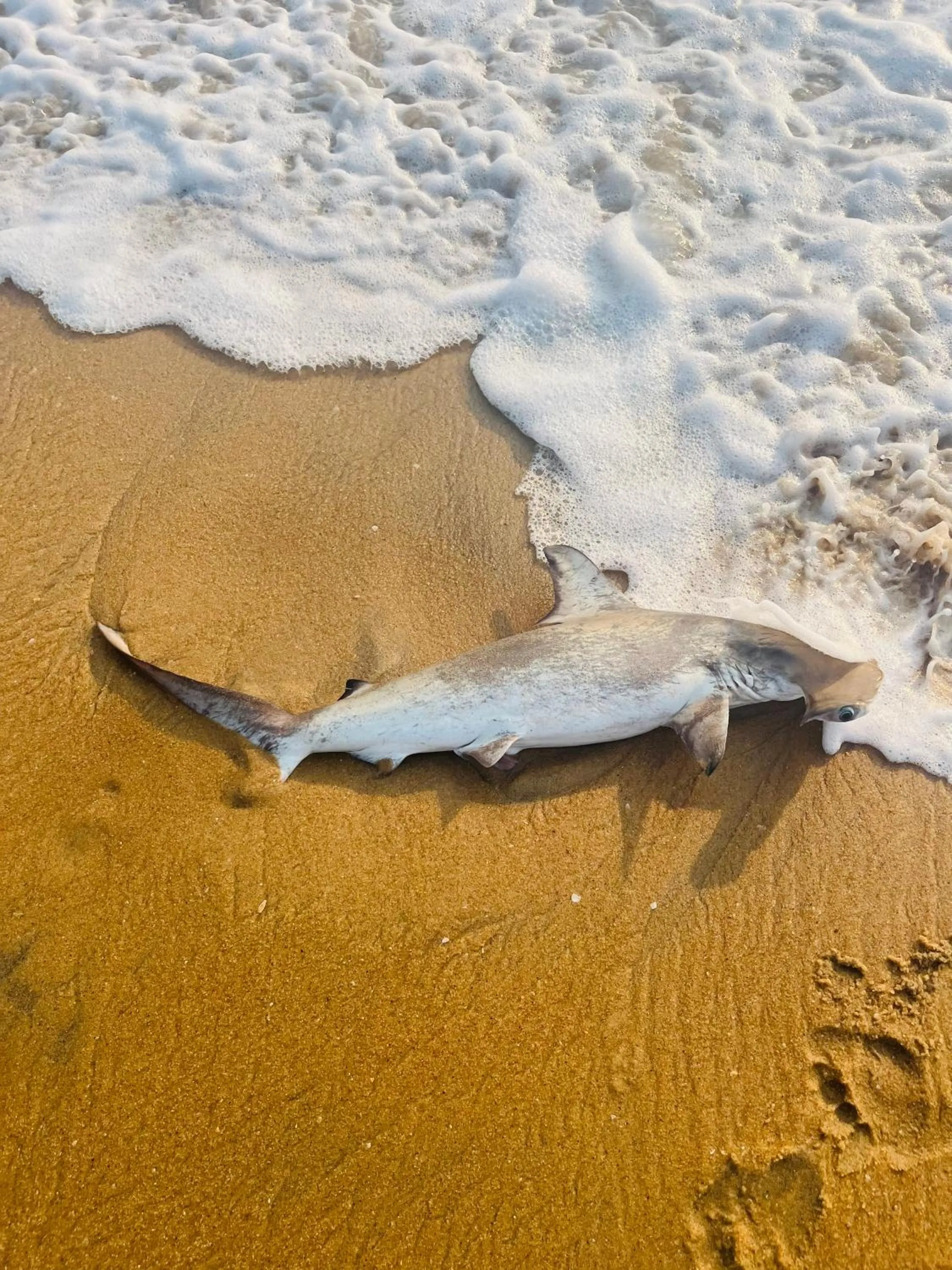 Natural landscape in Sunrise Cabanas