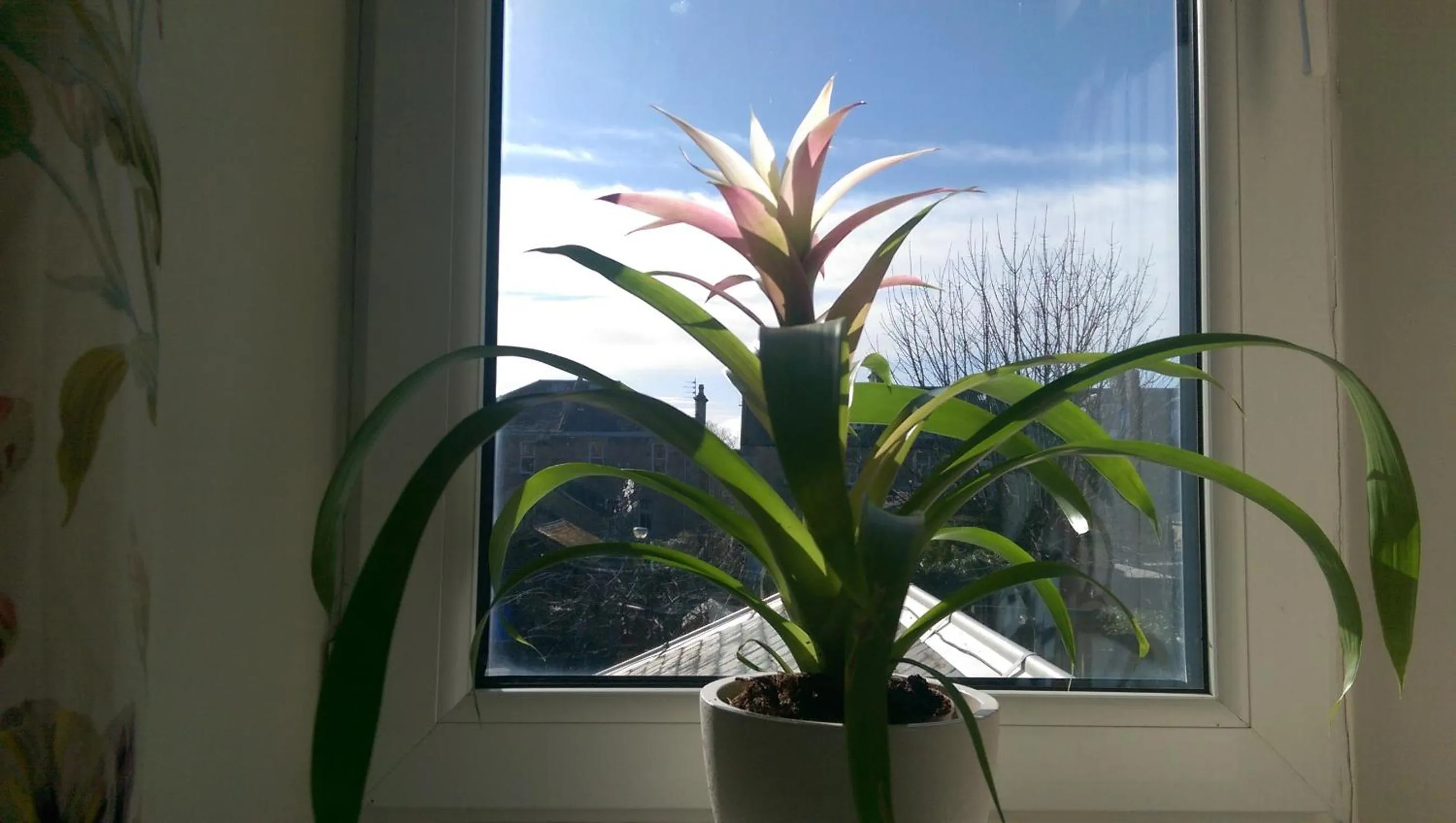 Bedroom in Lochinver Guesthouse
