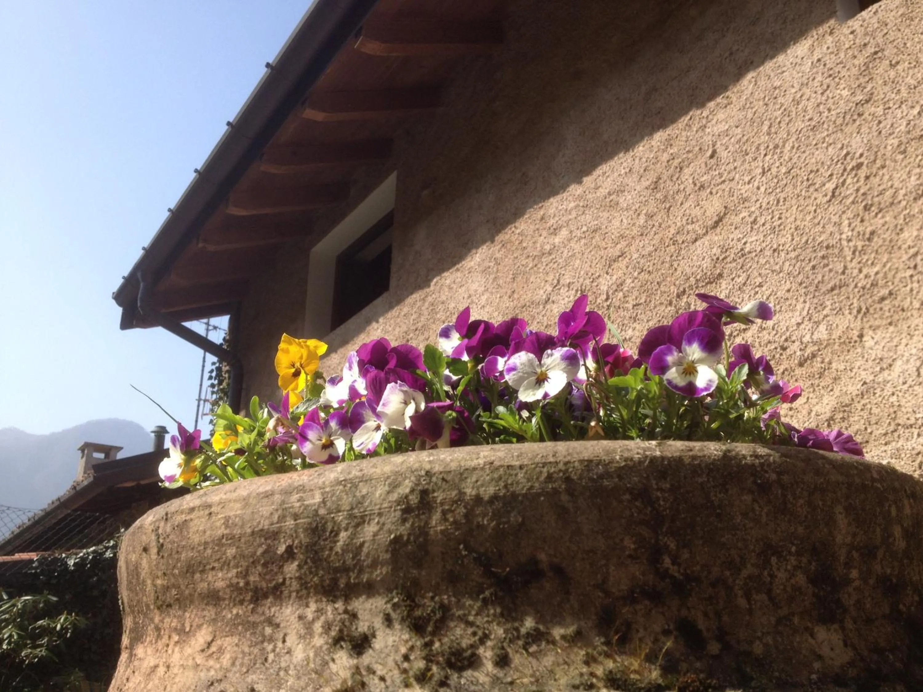 Property building in La Tana del Ghiro