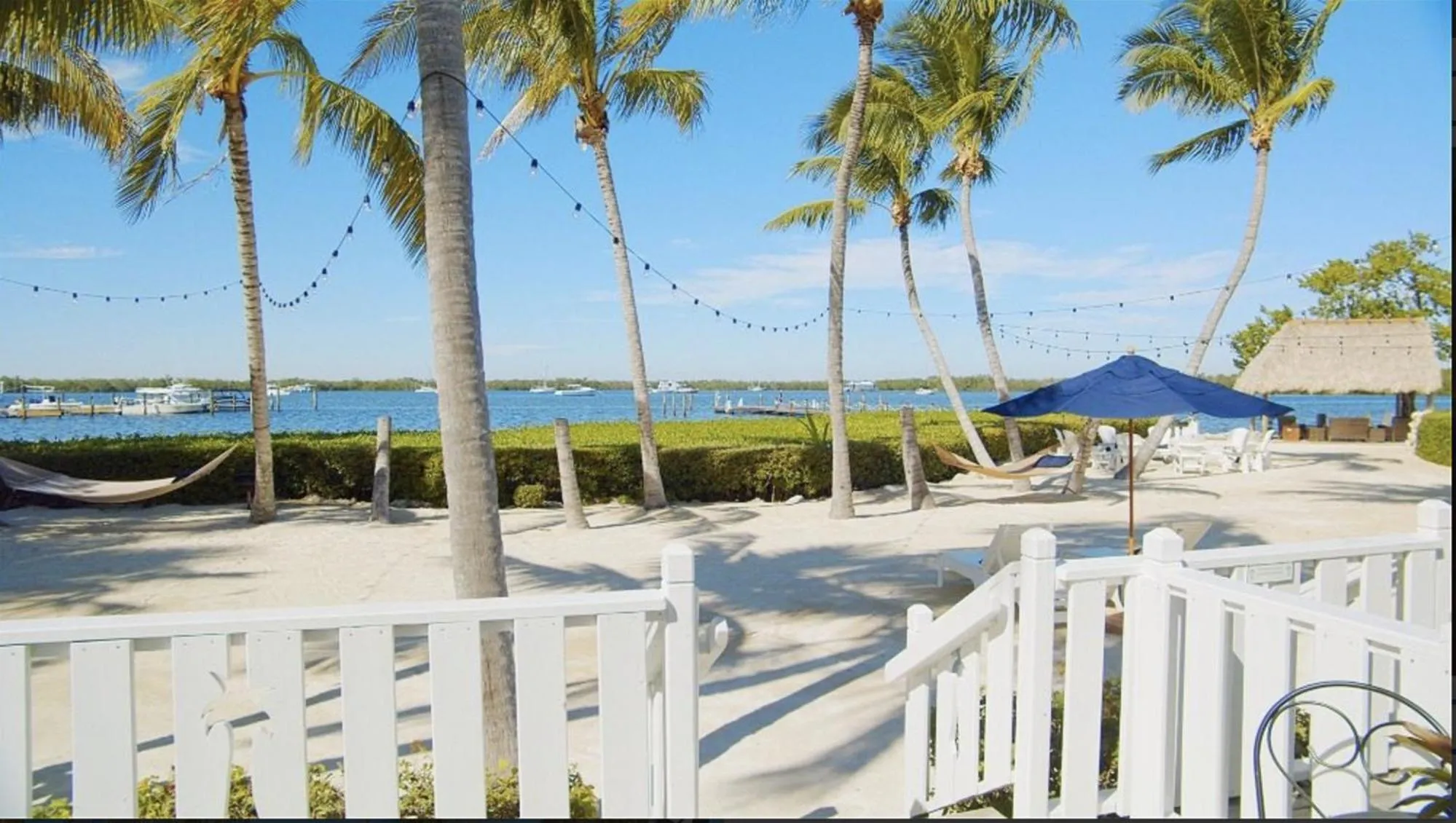 Natural landscape in Coconut Palm Inn