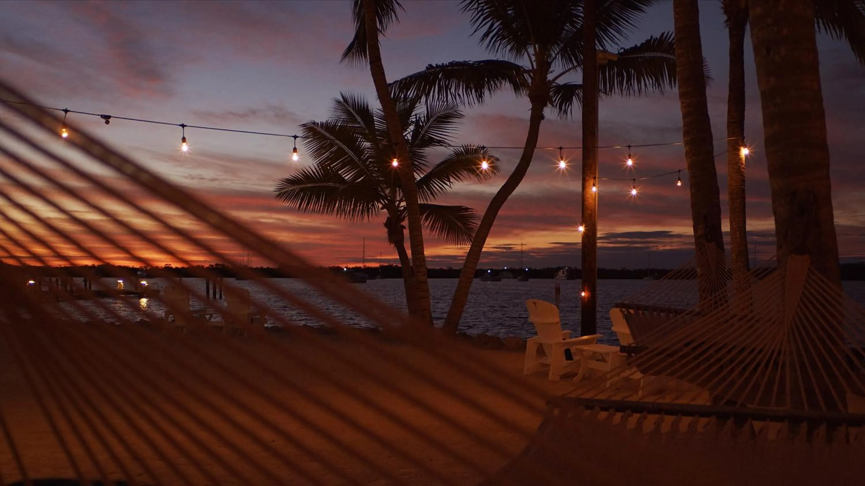 View (from property/room) in Coconut Palm Inn