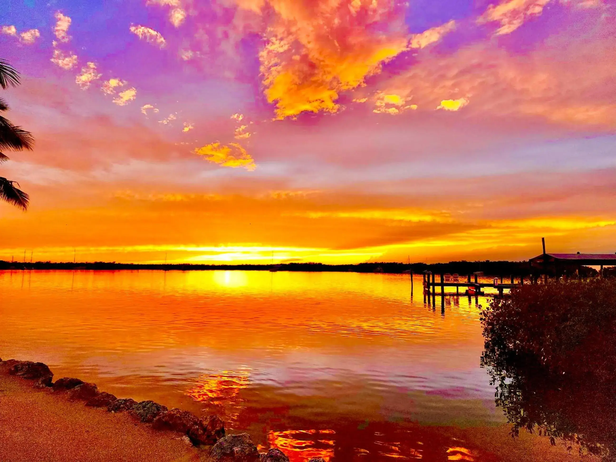 Natural landscape in Coconut Palm Inn Natural landscape in Coconut Palm Inn