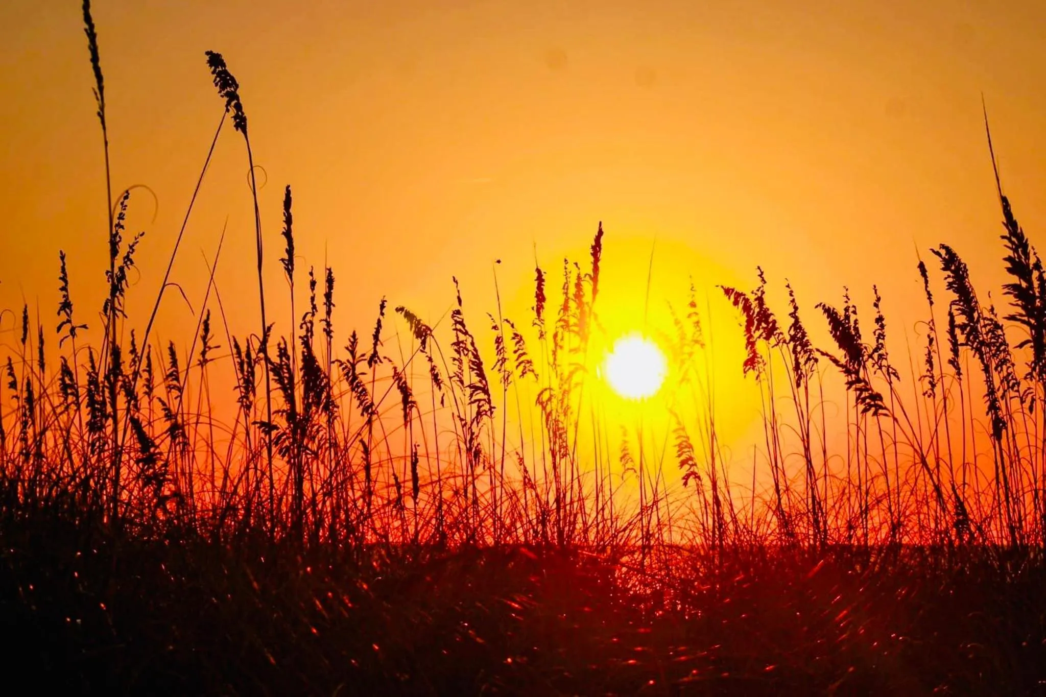 View (from property/room) in Boardwalk Beach Resort