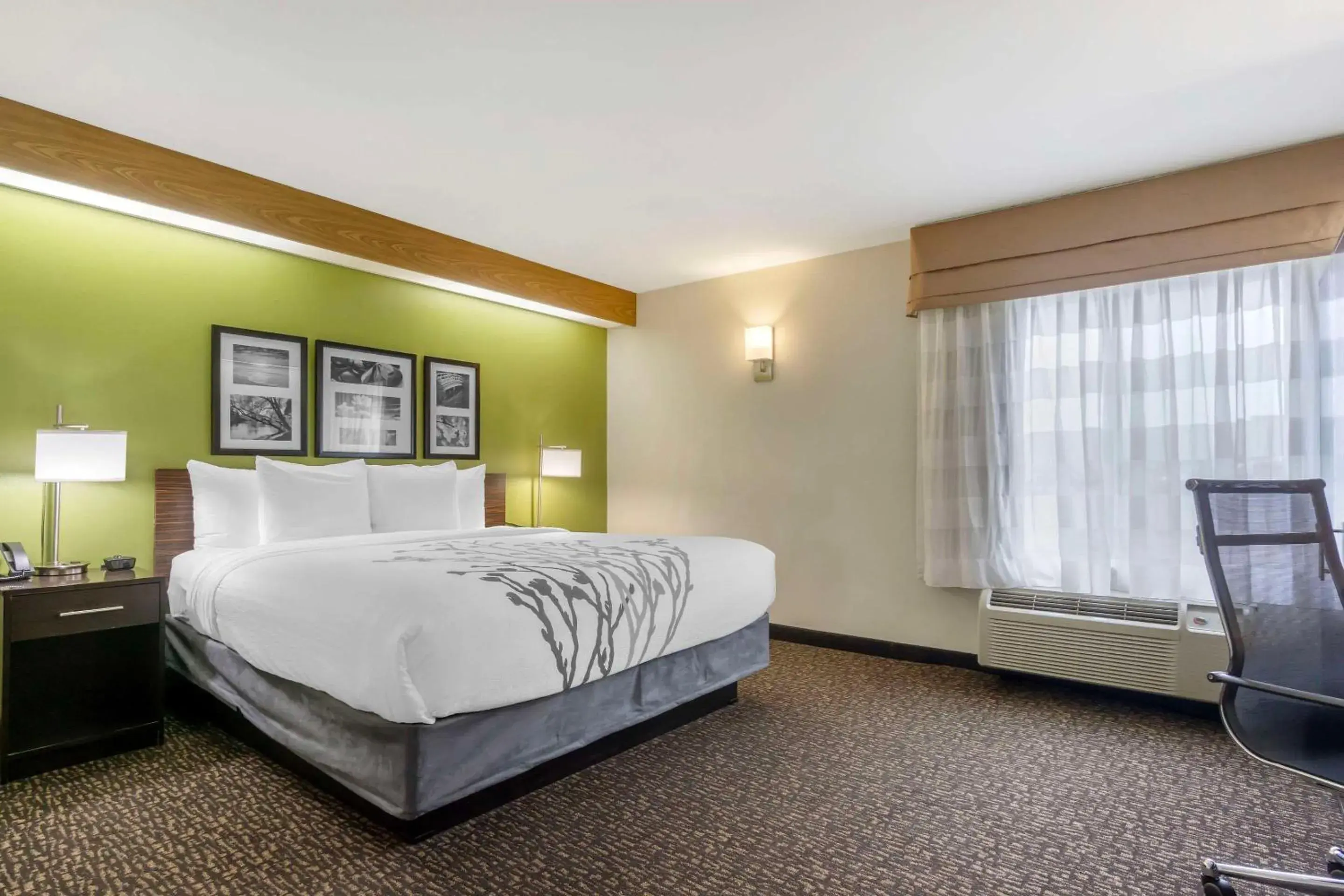 Bedroom, Bed in Sleep Inn Sea Tac Airport Bedroom, Bed in Sleep Inn Sea Tac Airport