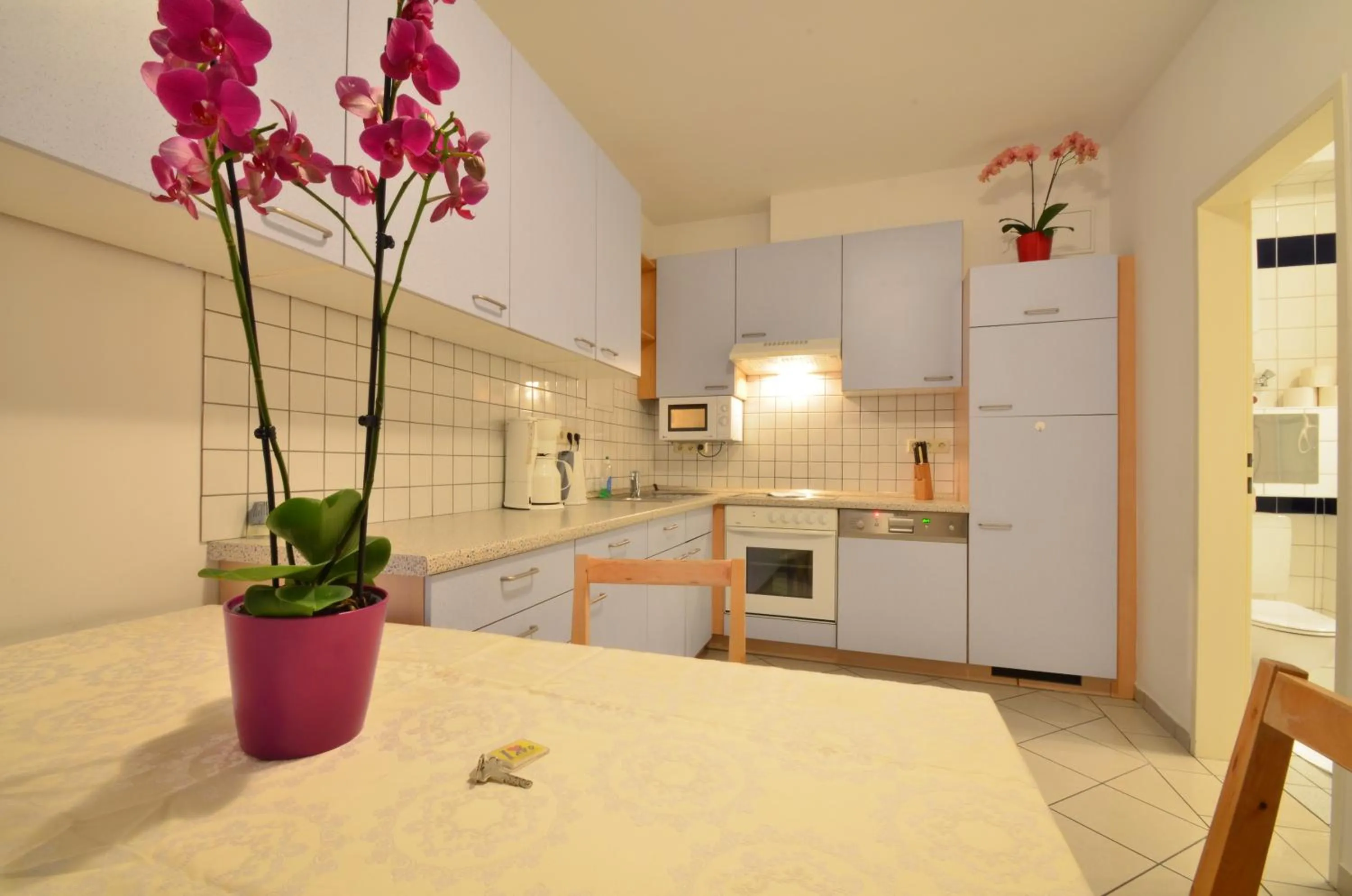 Kitchen or kitchenette in AJO Apartments - Alte Donau Garden Flat - Self-Check-in