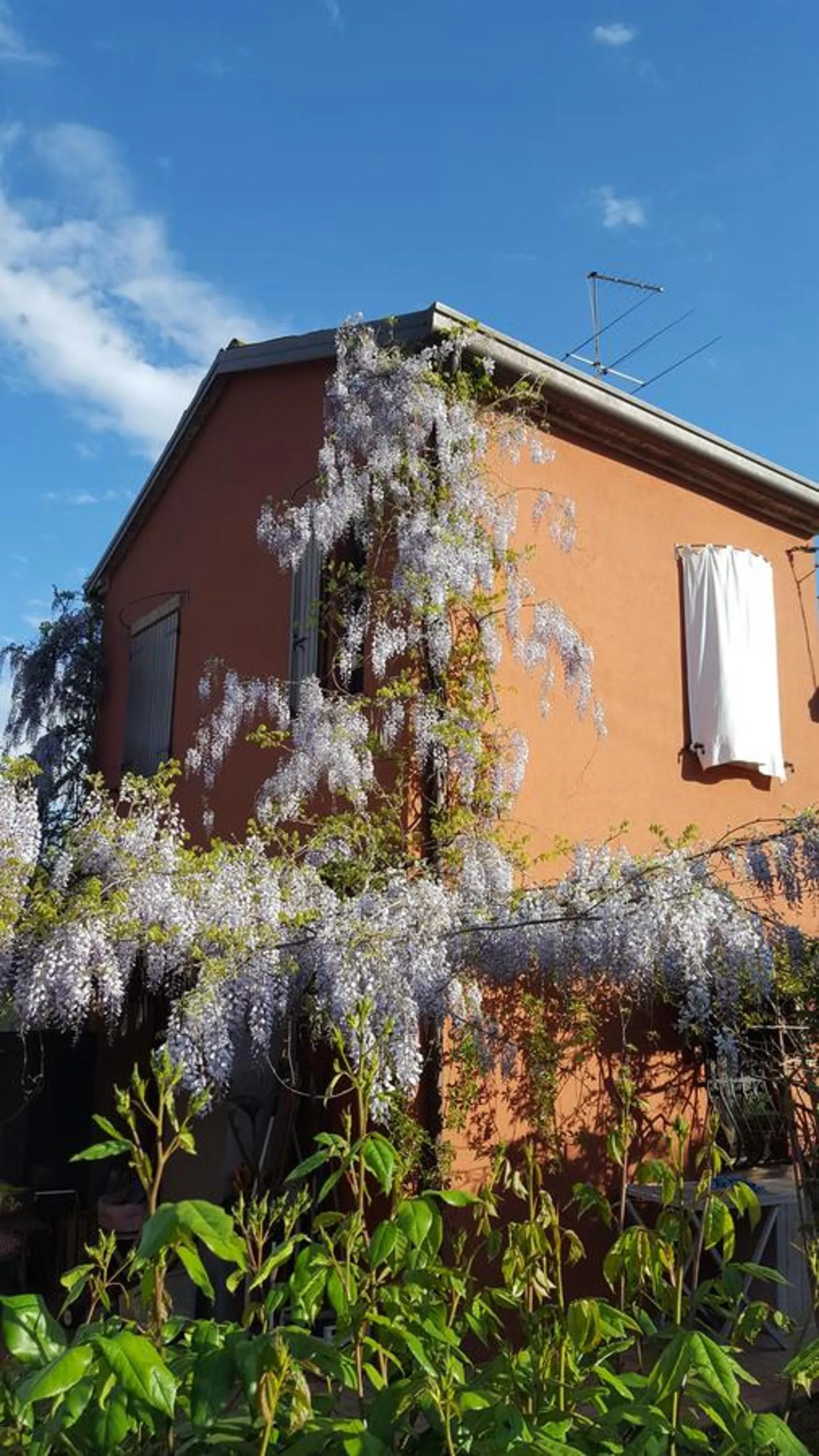 Facade/entrance in B&B La Rosa Antica