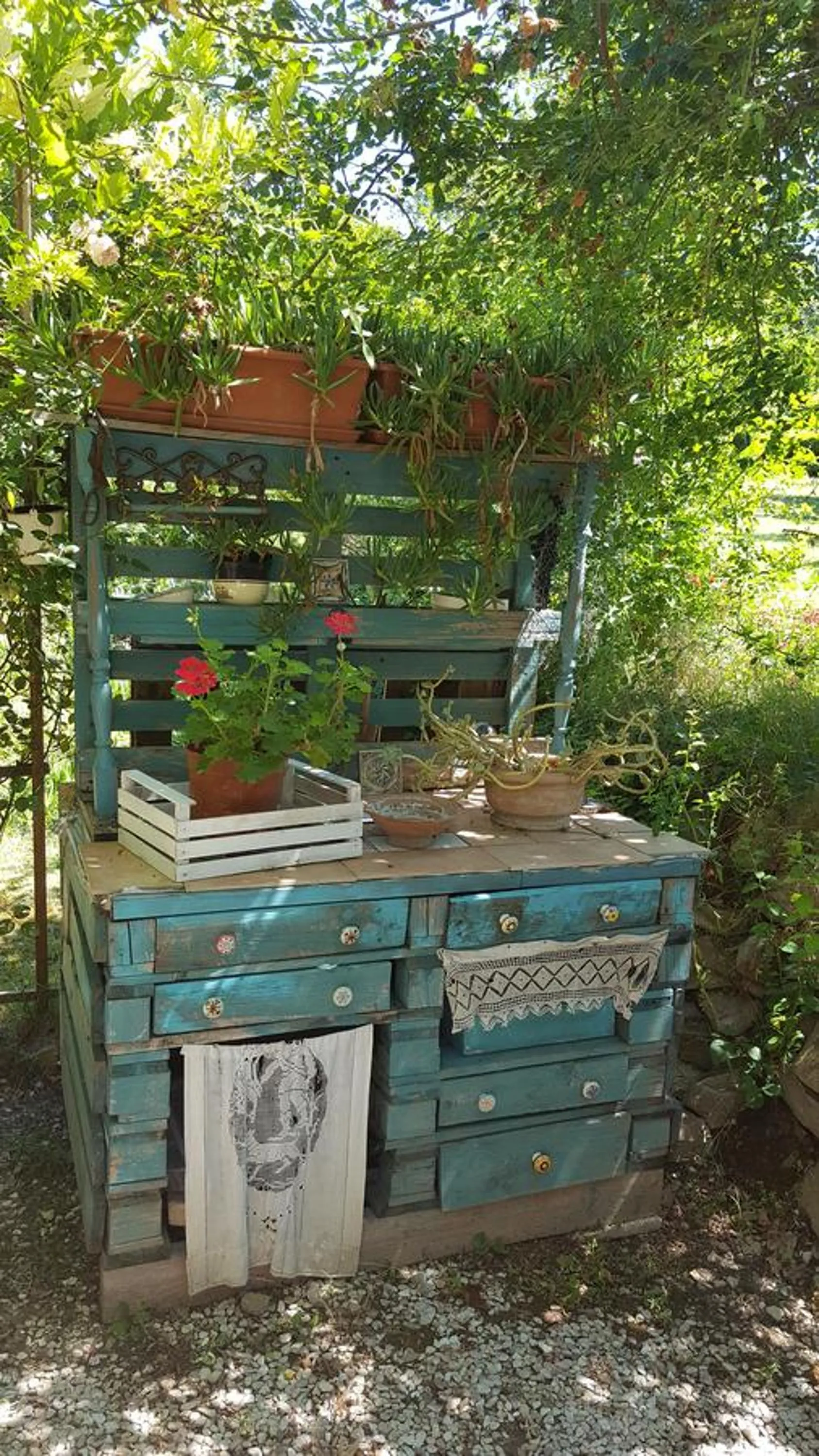 Garden in B&B La Rosa Antica