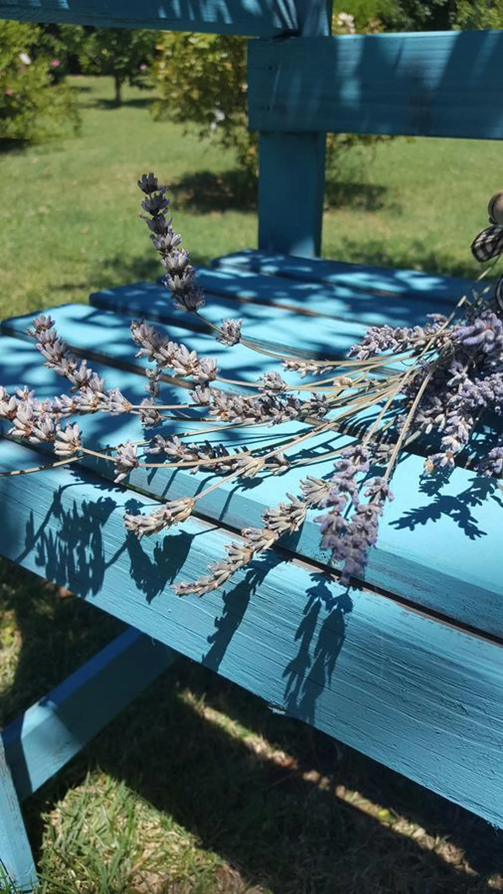 Garden in B&B La Rosa Antica