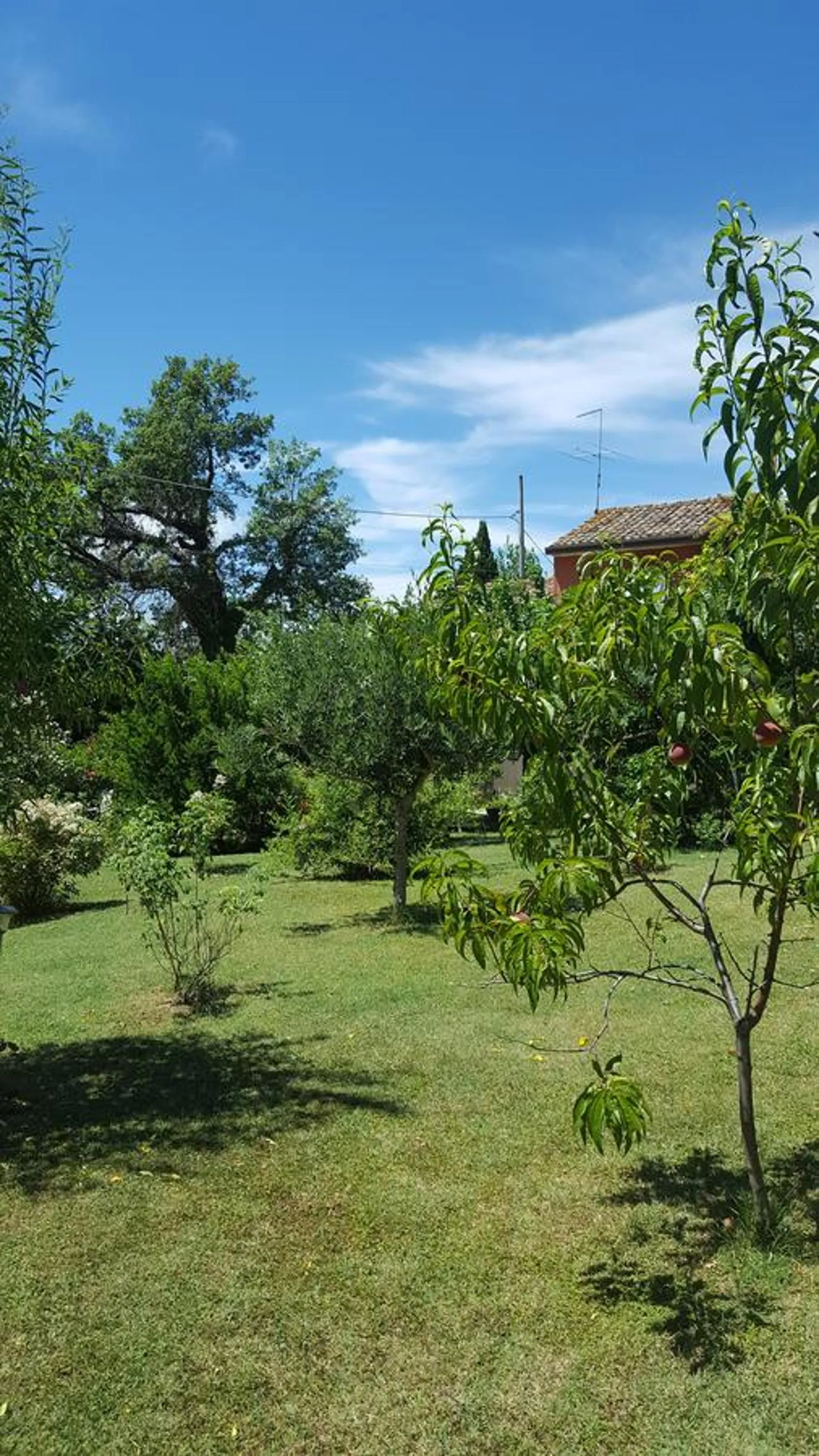Garden in B&B La Rosa Antica