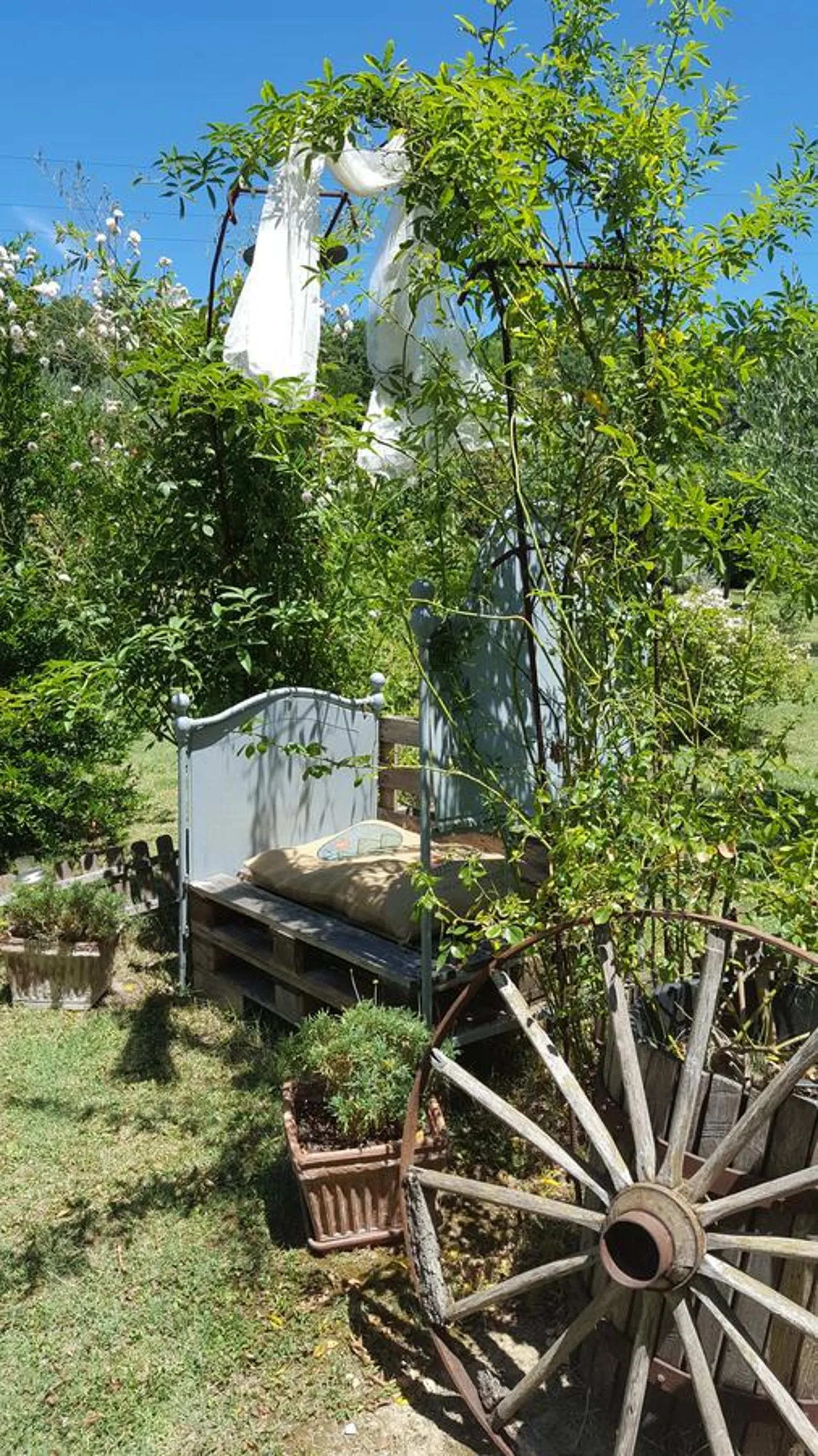 Garden in B&B La Rosa Antica