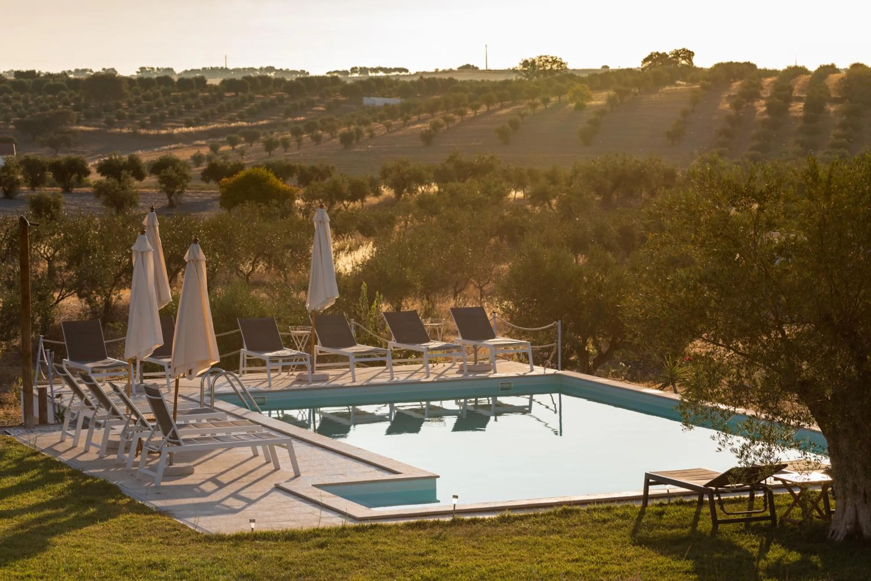 Pool view in Monte da Estrela - Country House & SPA