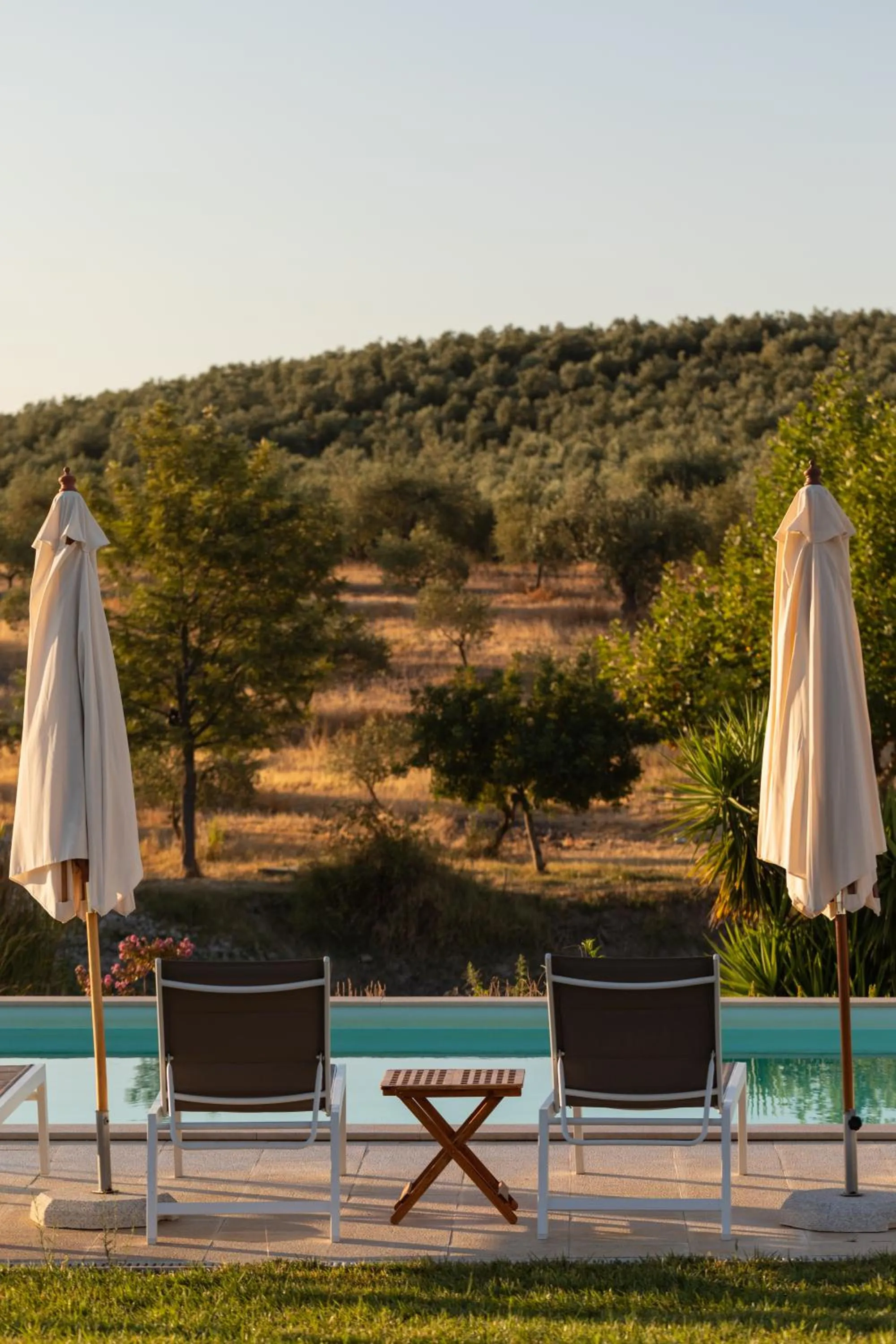 Swimming pool in Monte da Estrela - Country House & SPA