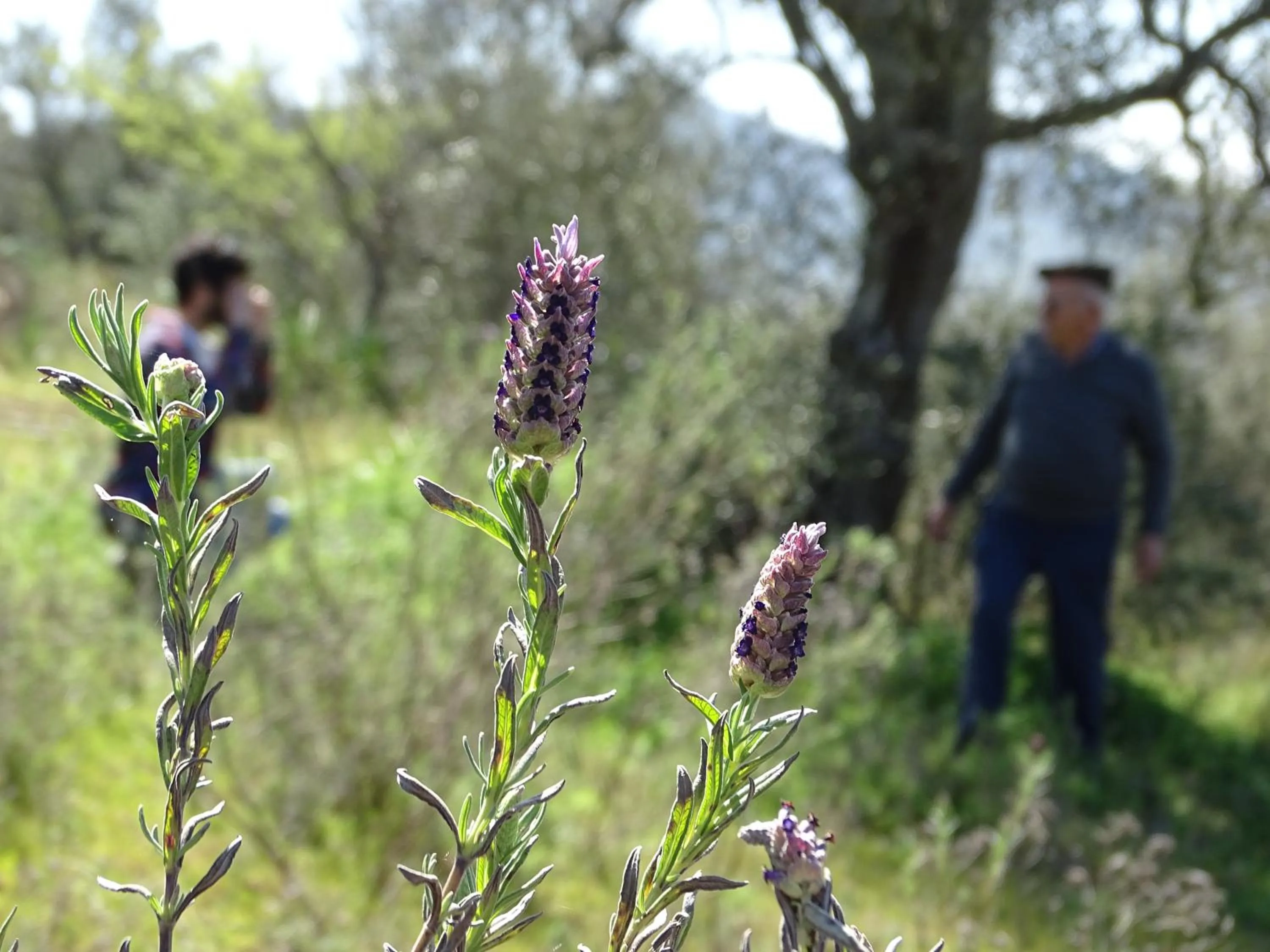 Activities in Monte da Estrela - Country House & SPA