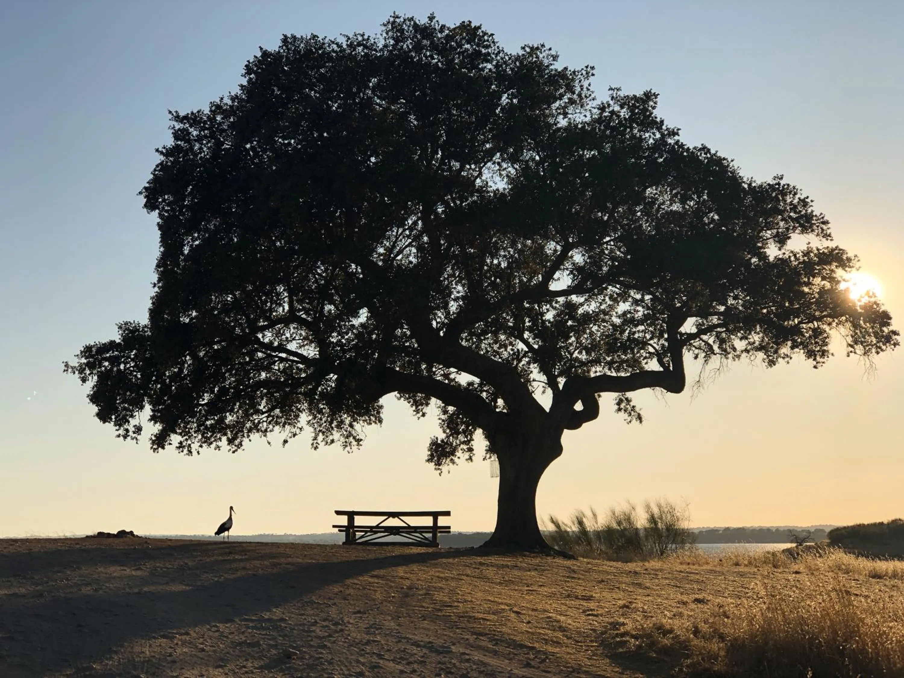 Natural landscape in Monte da Estrela - Country House & SPA