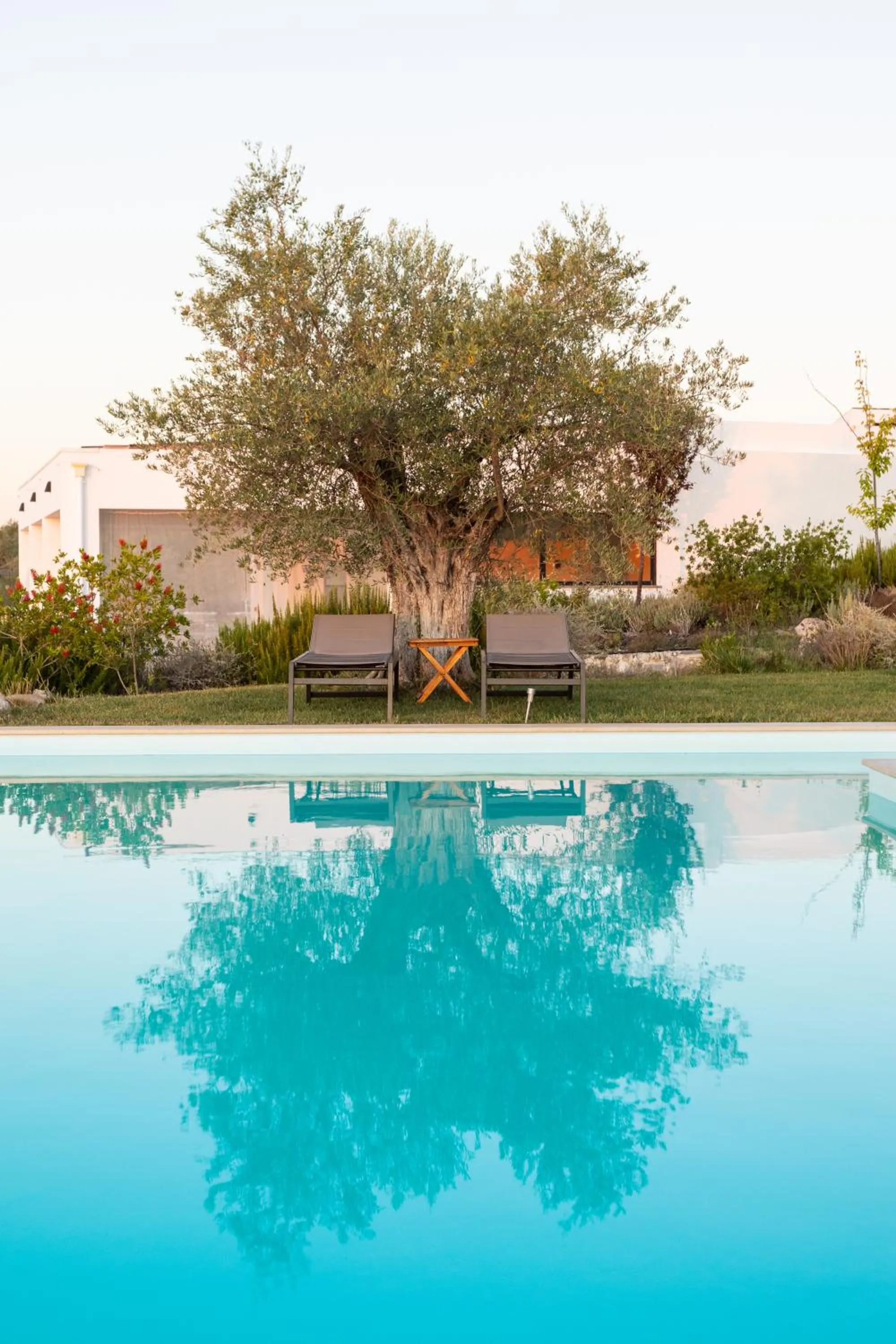 Swimming pool in Monte da Estrela - Country House & SPA