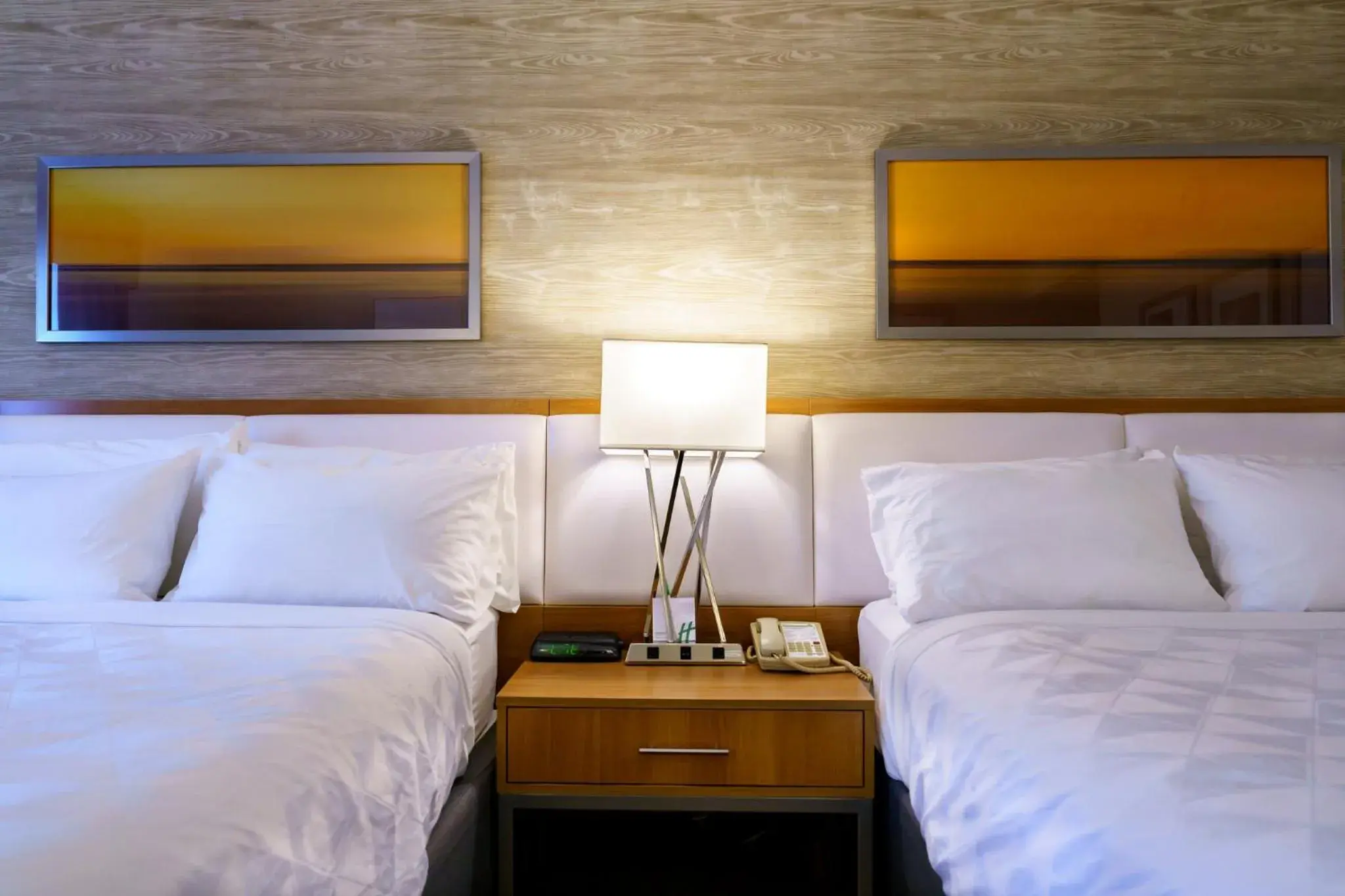 Photo of the whole room, Bed in Iris Hotel Cape Cod Photo of the whole room, Bed in Iris Hotel Cape Cod