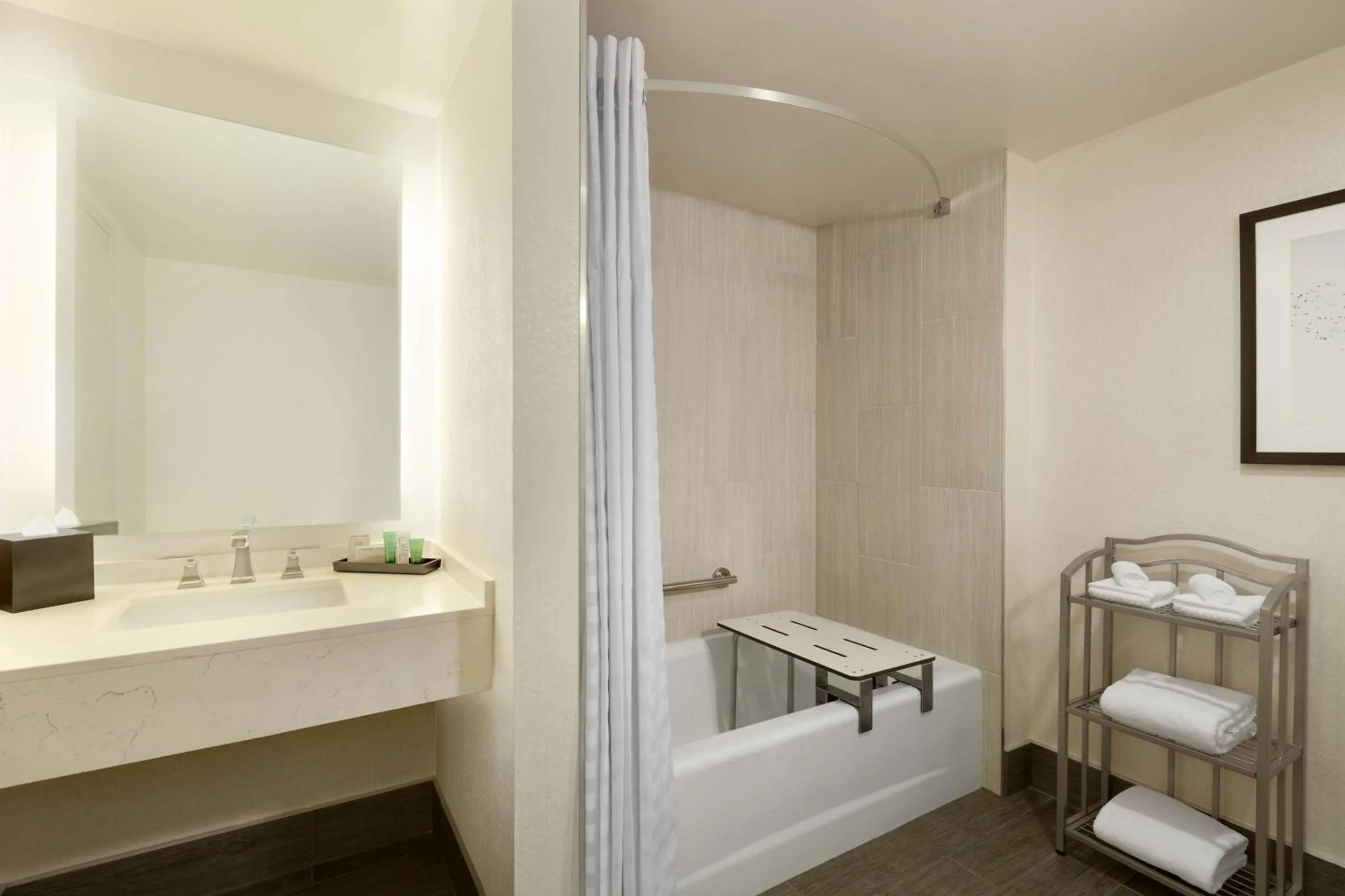 Bathroom, Bed in Hilton Greenville