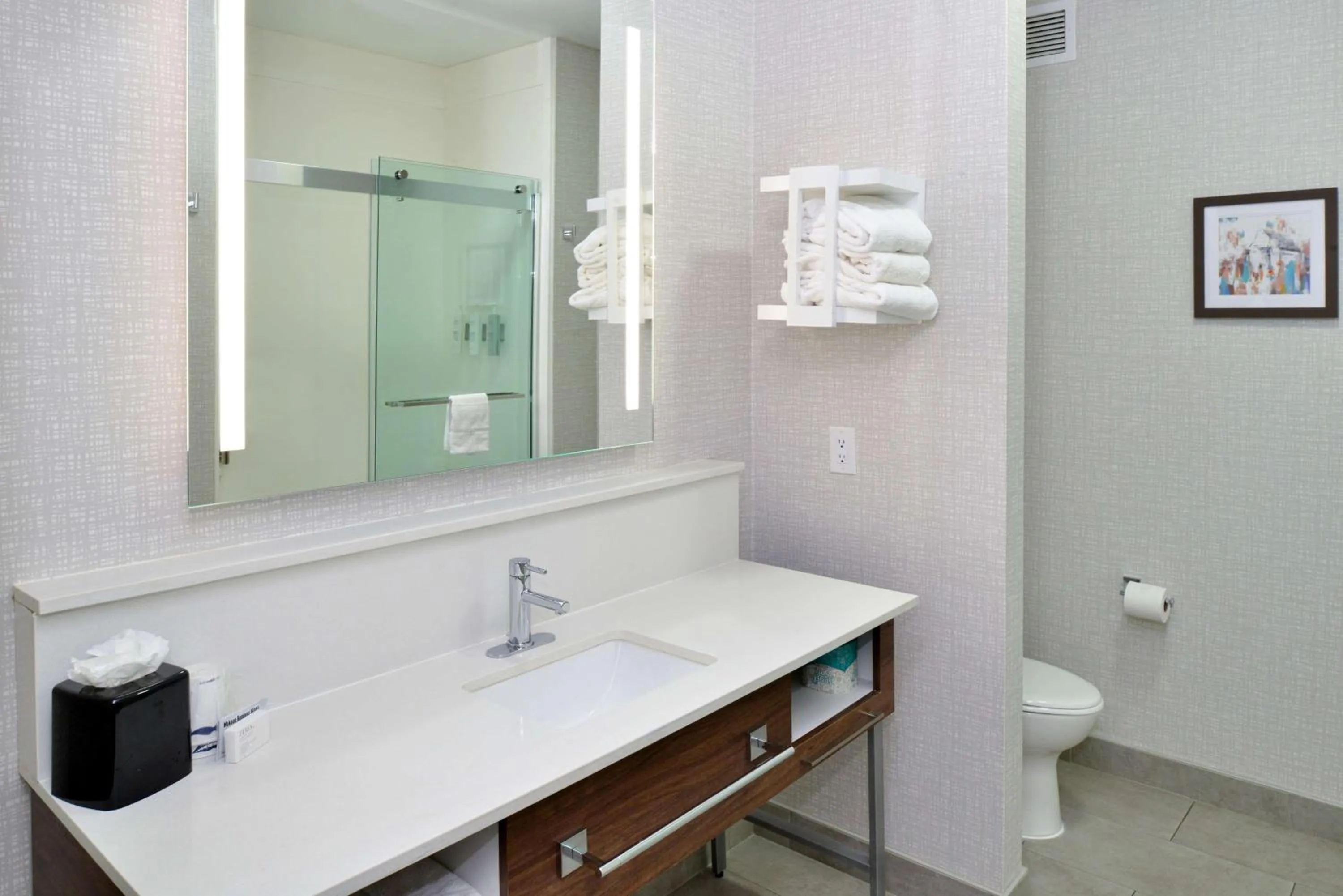 Bathroom in Hampton Inn & Suites Greenville