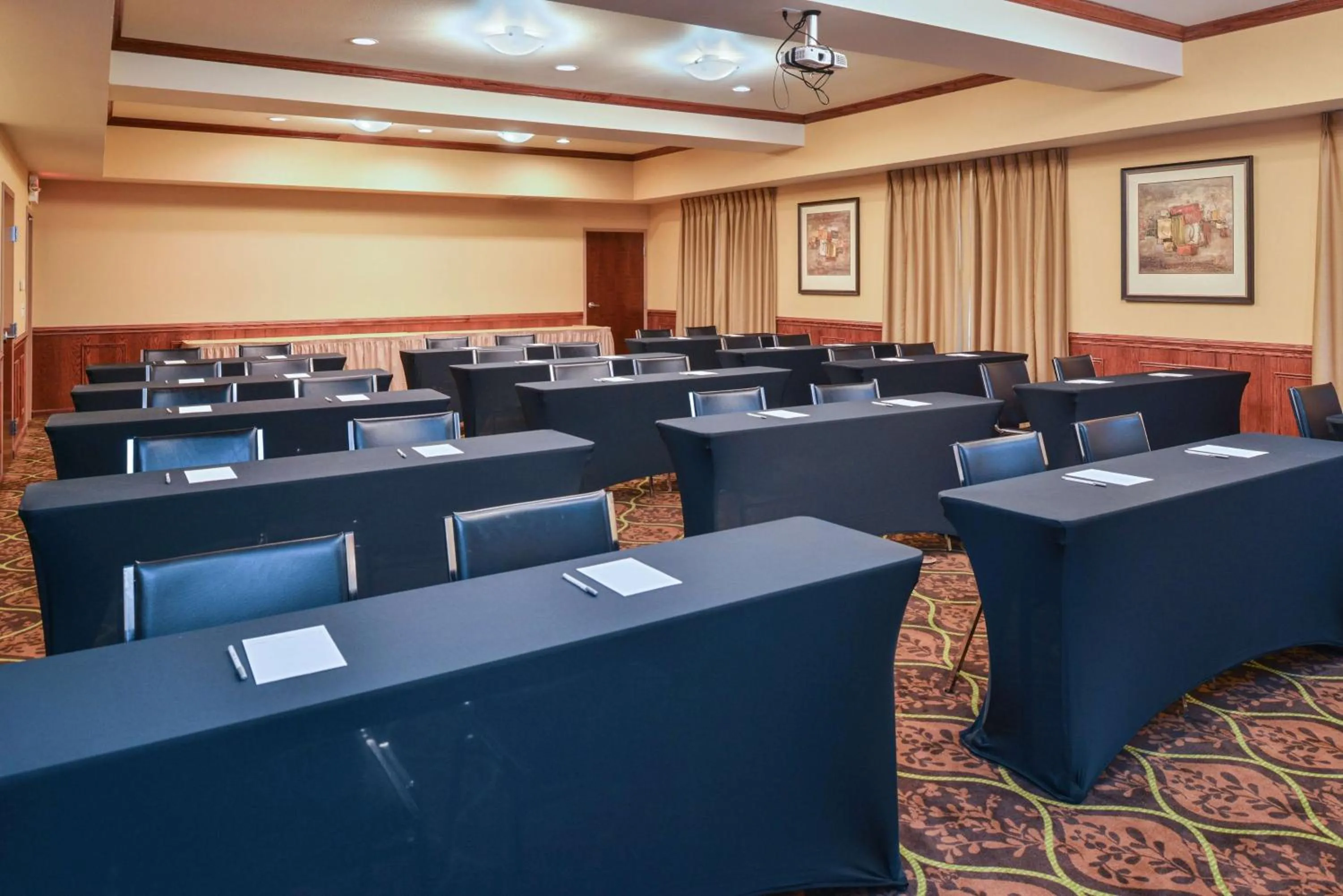Meeting/conference room in Hampton Inn & Suites Greenville