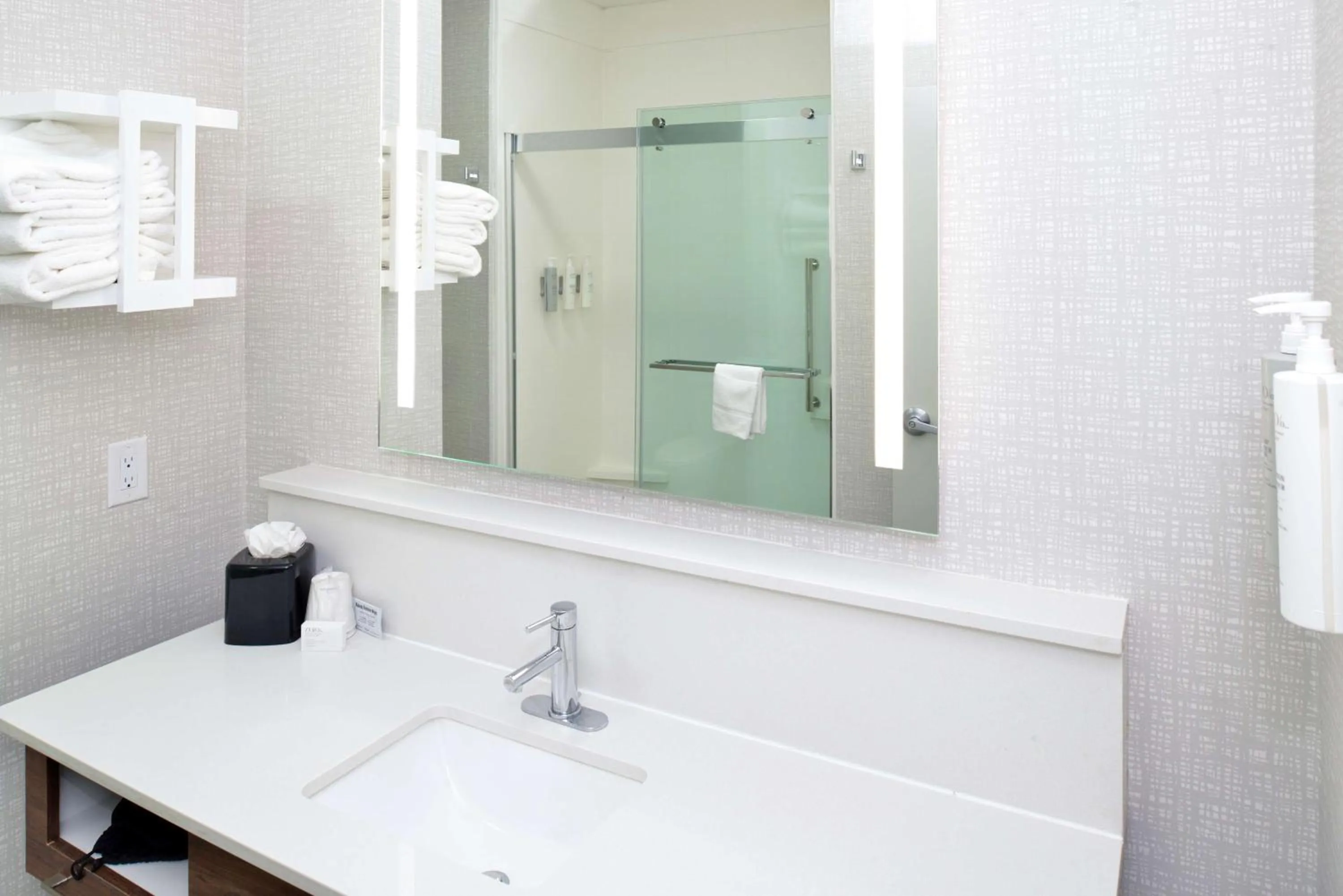 Bathroom in Hampton Inn & Suites Greenville