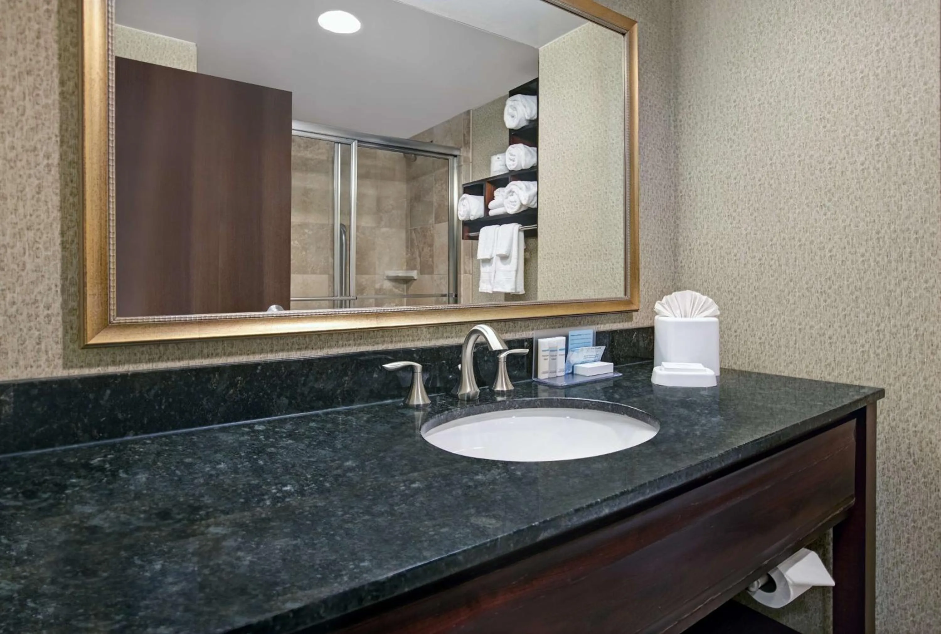 Bathroom in Hampton Inn Greenville/Woodruff Road