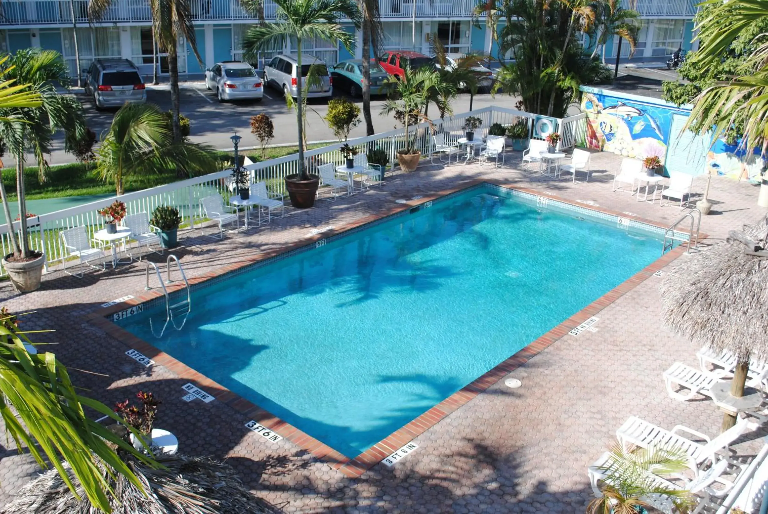 Pool view in Floridian Hotel Pool view in Floridian Hotel