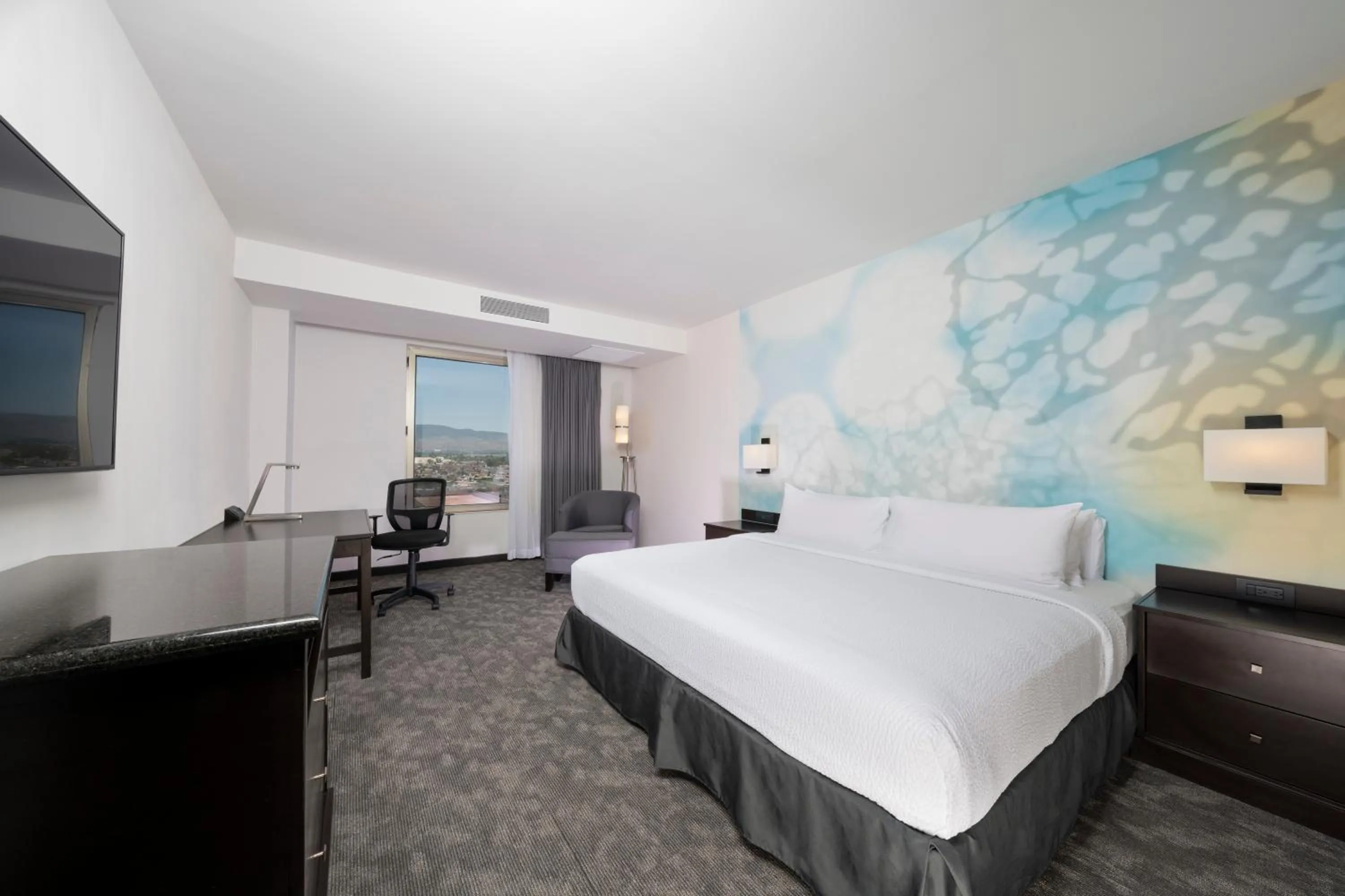 TV and multimedia, Bed in Courtyard by Marriott San Luis Potosi