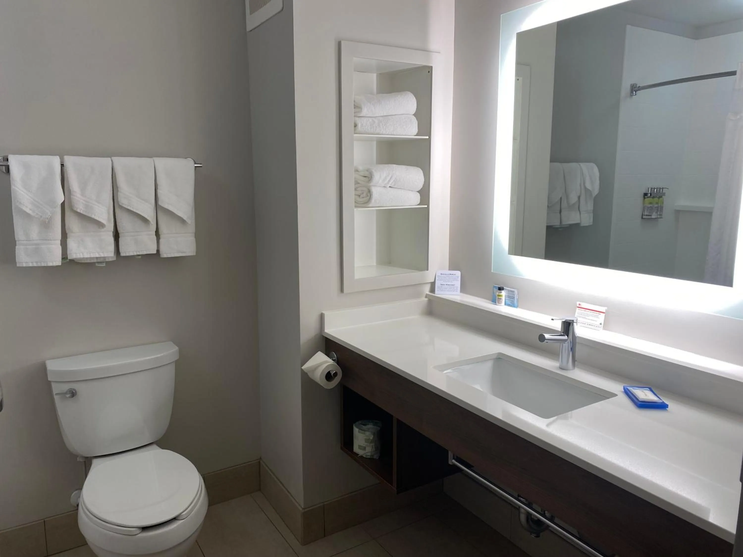 Bathroom in Holiday Inn Express Hotel & Suites Binghamton University-Vestal by IHG