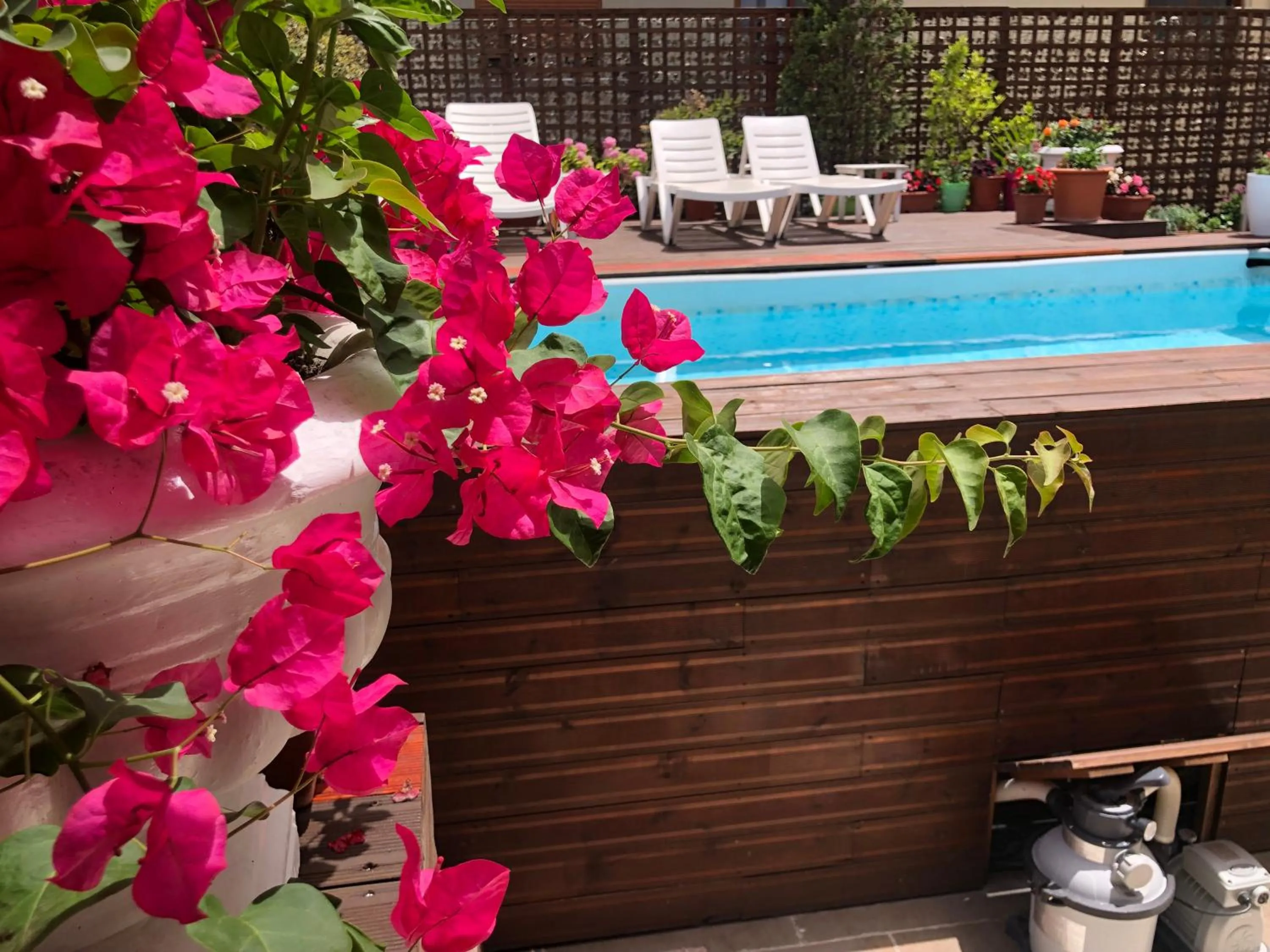 Swimming pool in Sunrise Hotel Cameria