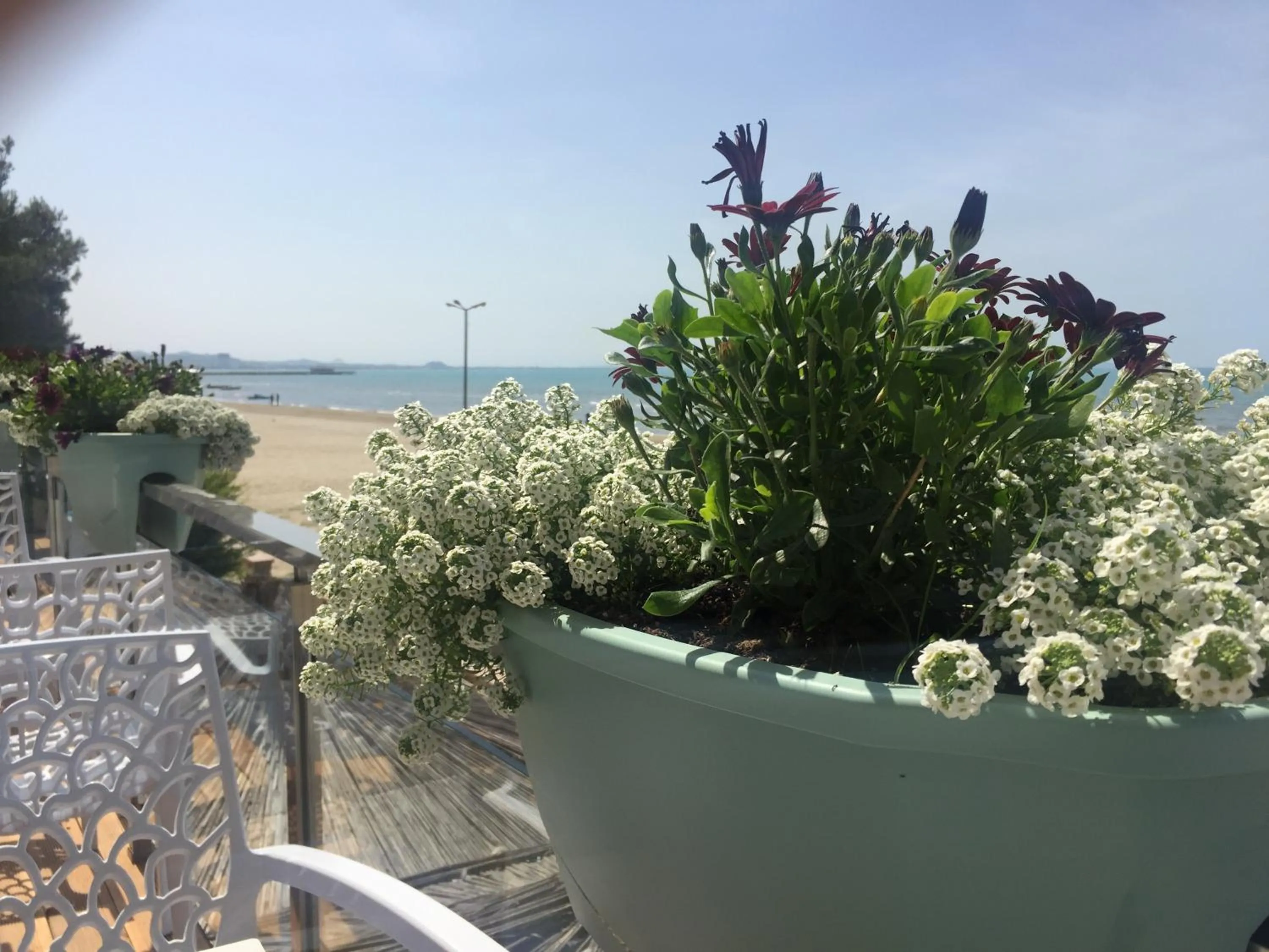 Day in Sunrise Hotel Cameria