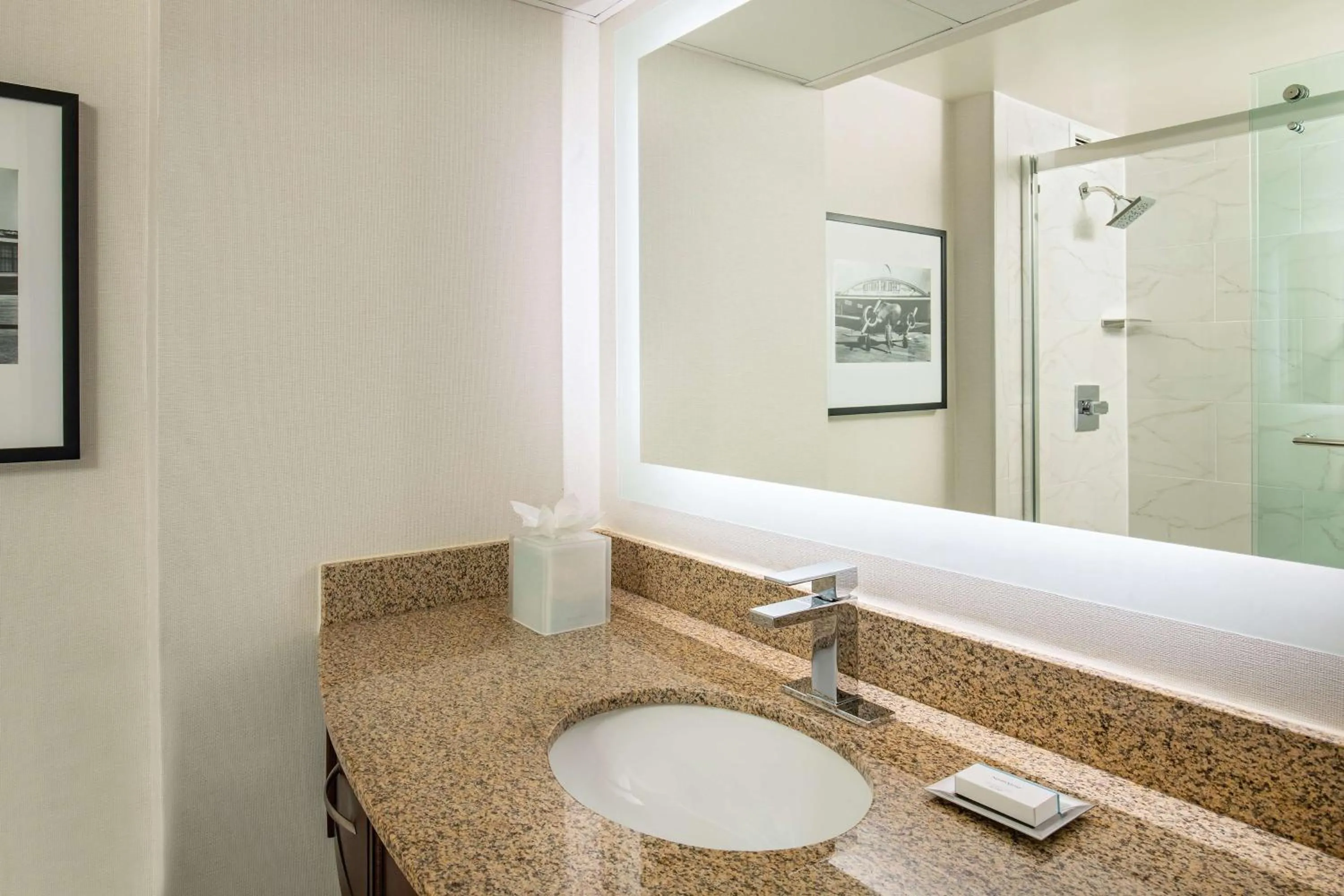 Bathroom in Hilton Greenville