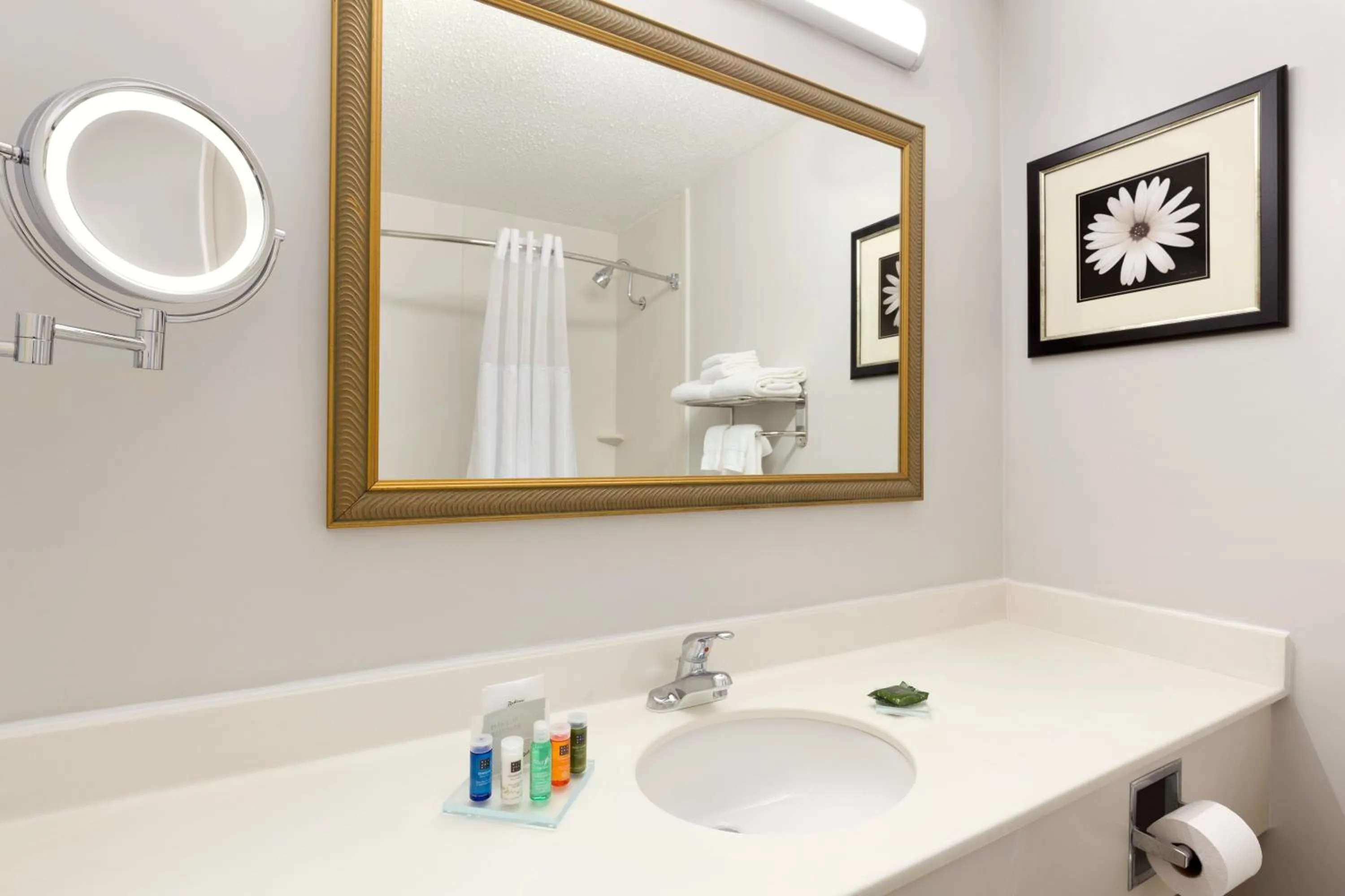 Bathroom in Clarion Inn Sheffield Muscle Shoals