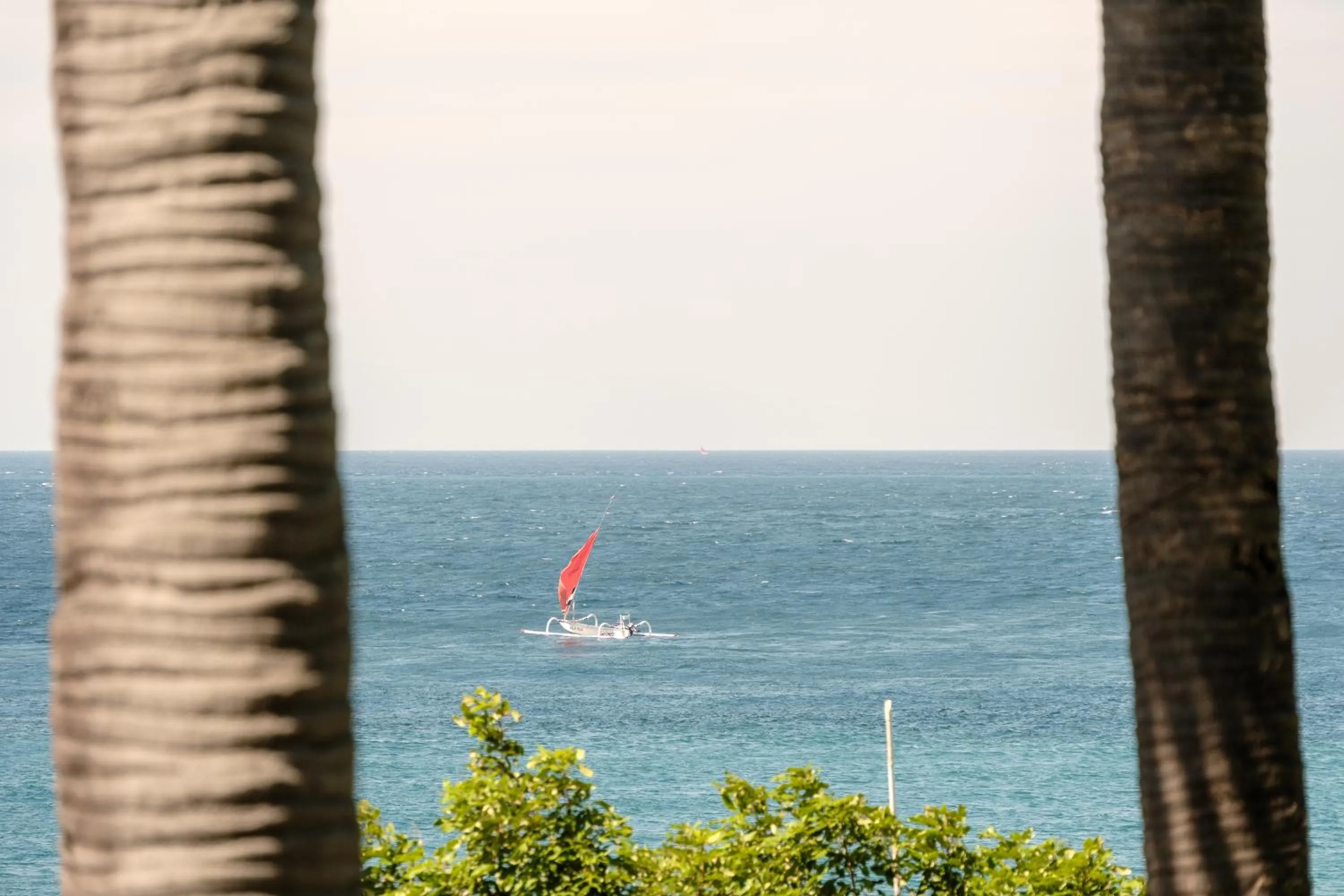 Natural landscape in Ibus Beach Hotel