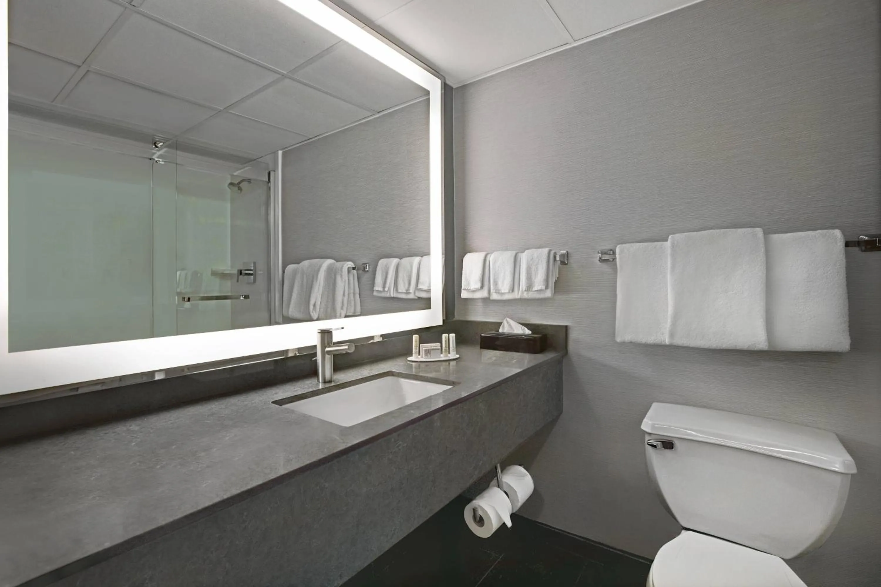 Bathroom in Courtyard Chicago Elmhurst/Oakbrook Area