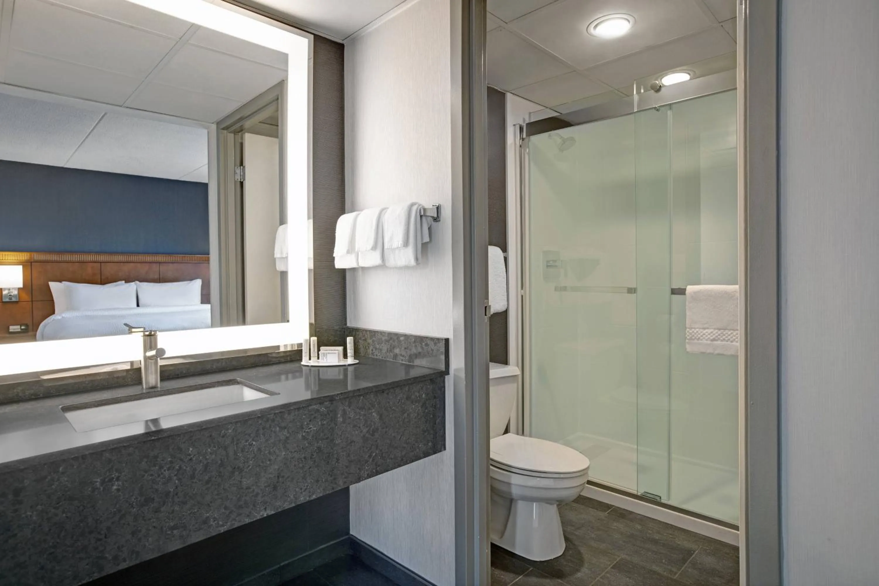 Bathroom in Courtyard Chicago Elmhurst/Oakbrook Area