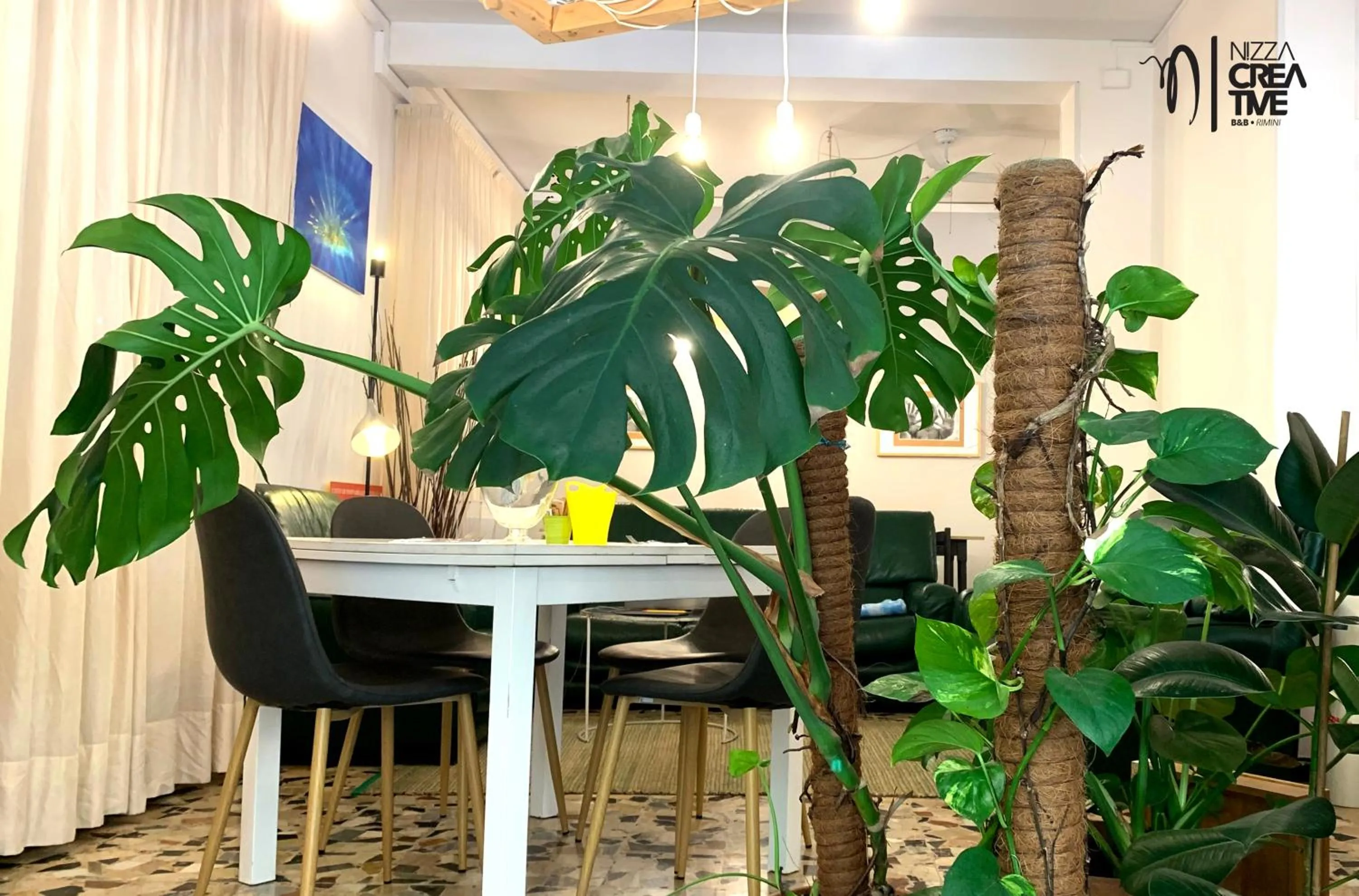 Garden view in Hotel Nizza Creative Hotel