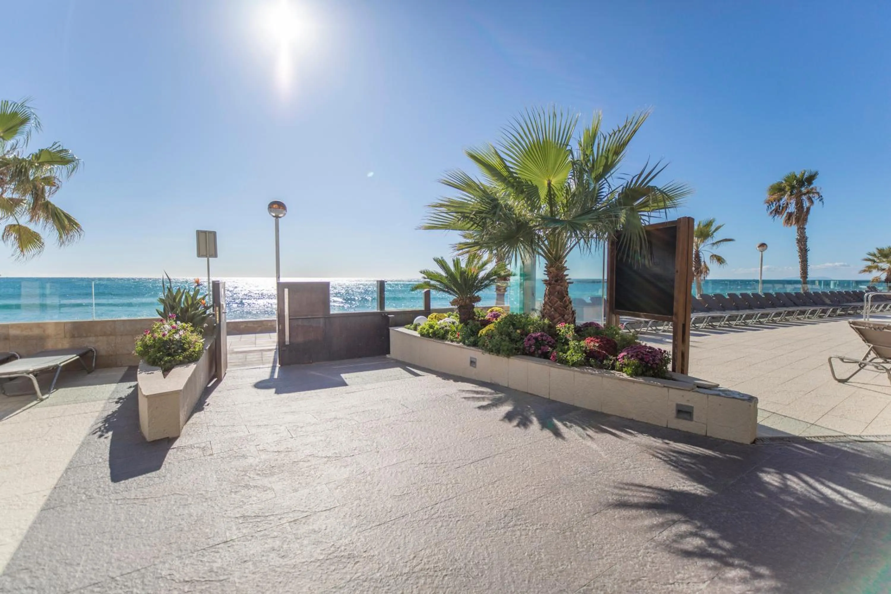 Beach in Apartamentos Turísticos Augustus