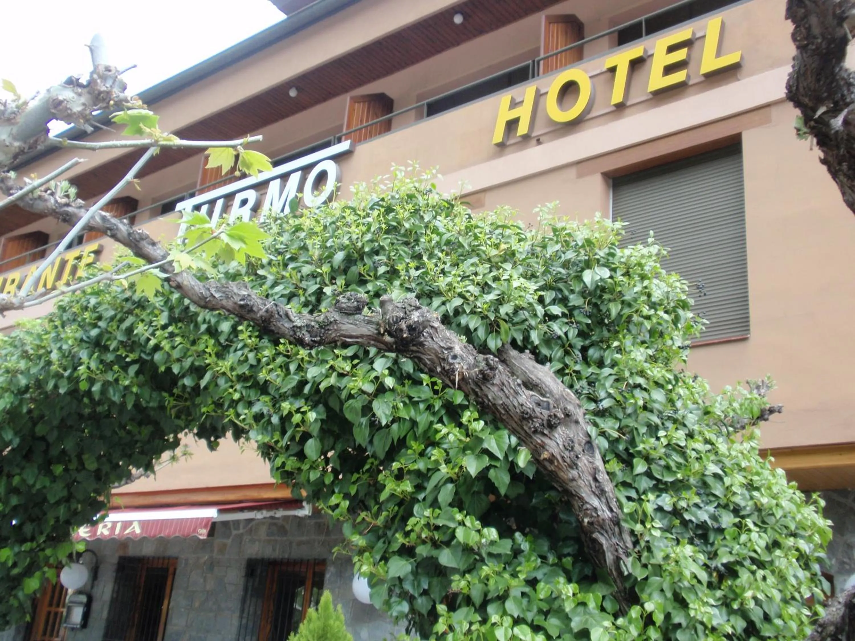 Facade/entrance in Hotel Turmo