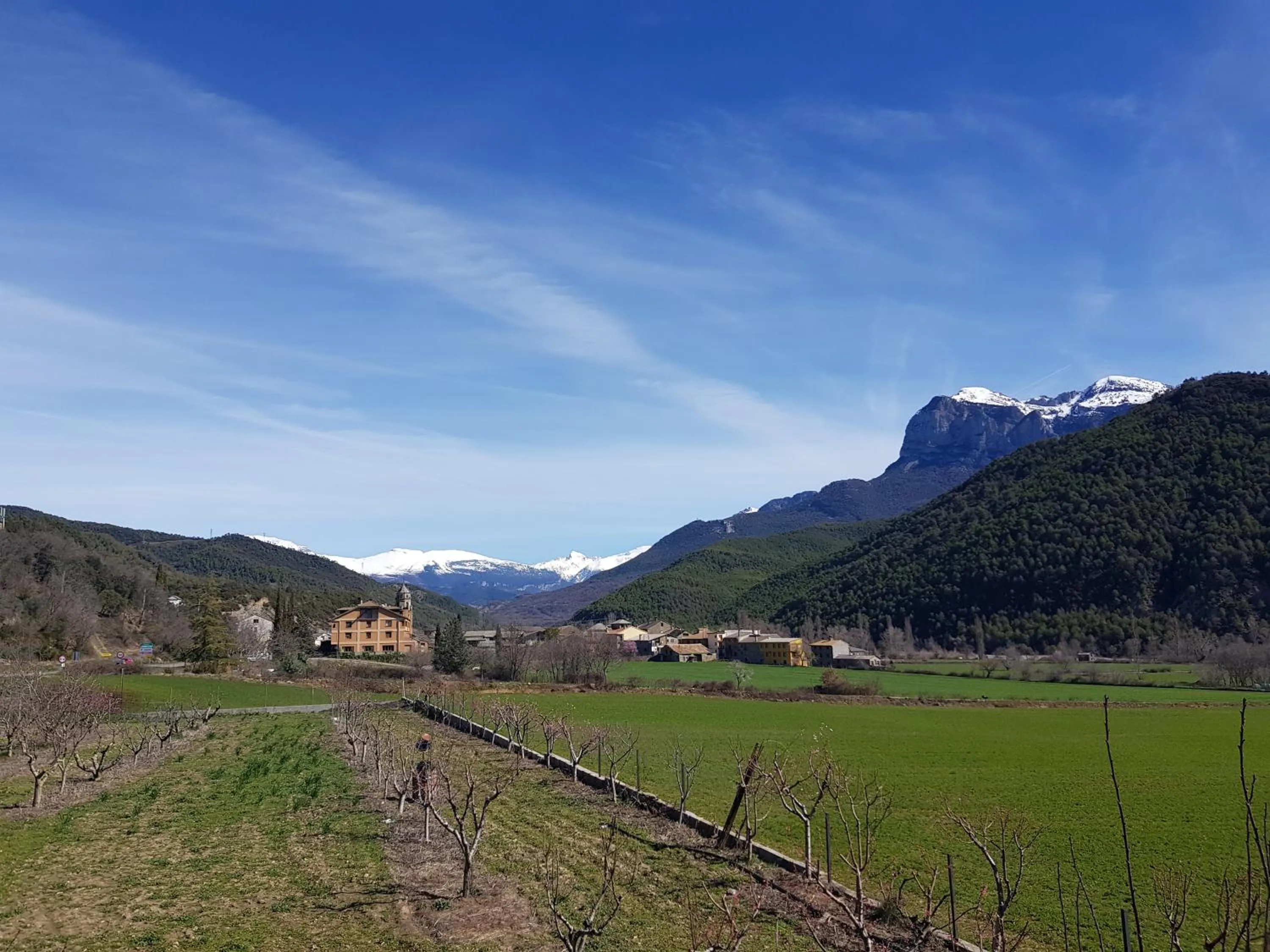 Spring in Hotel Turmo