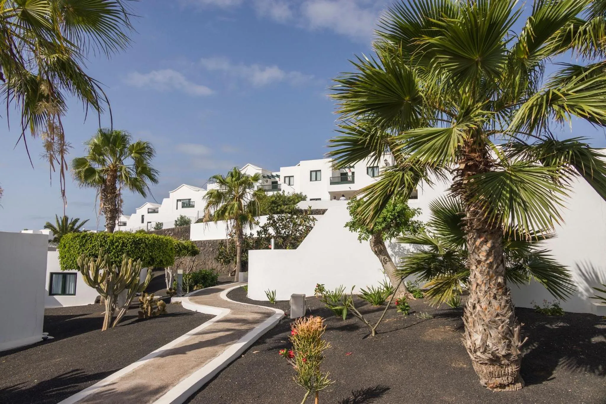 Garden view in ILUNION Costa Sal Lanzarote