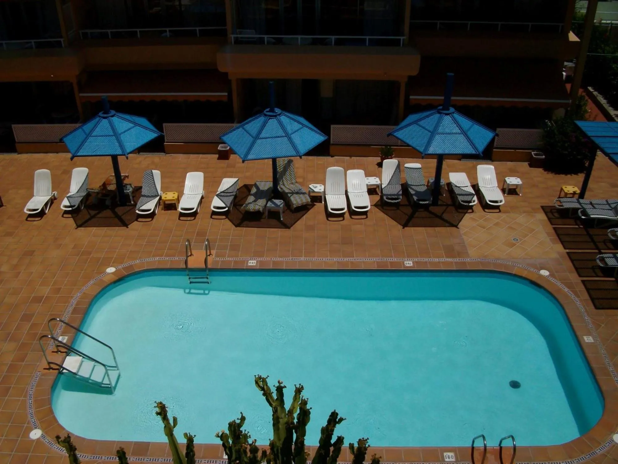 Solarium in Apartamentos Belmonte