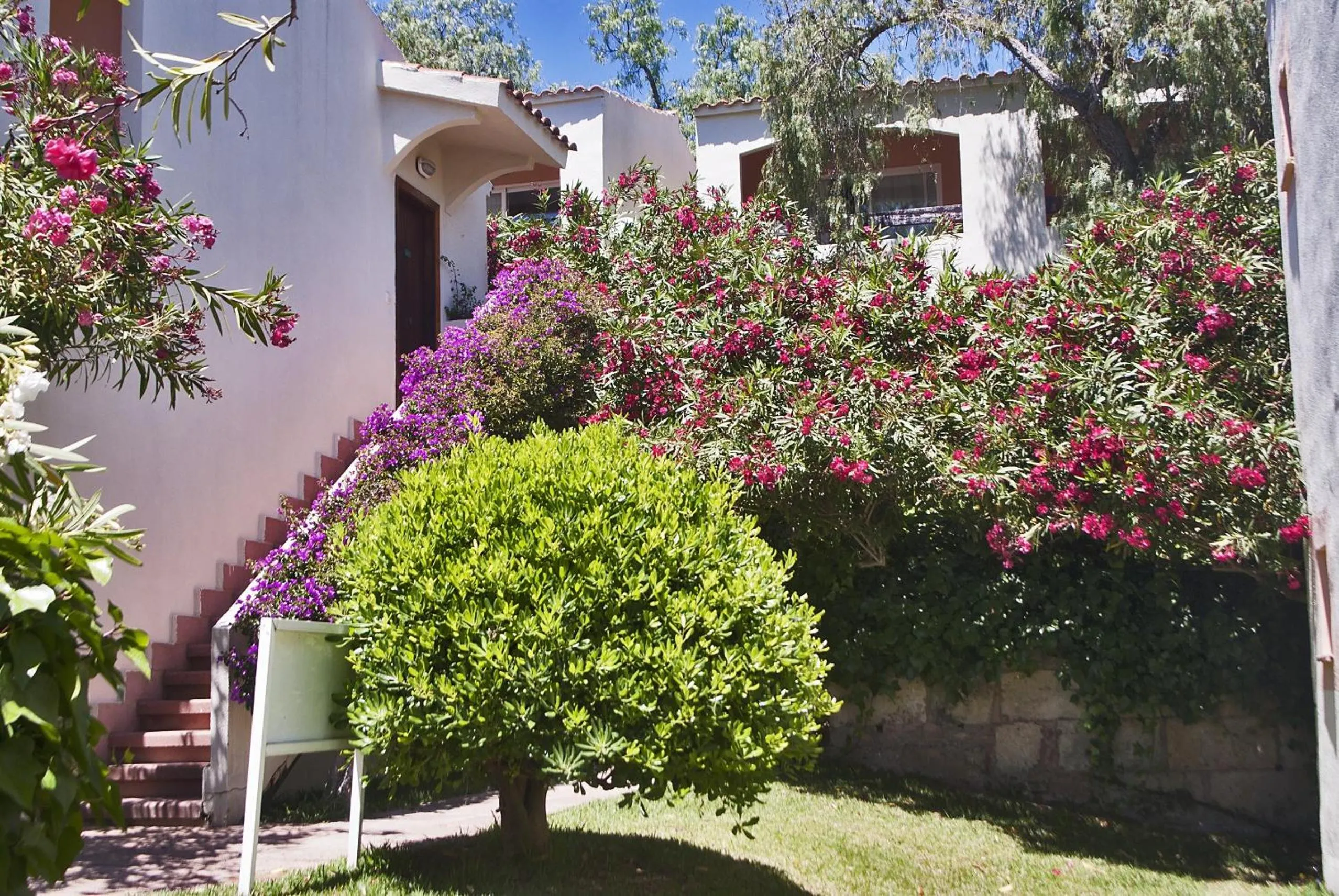 Garden in FERGUS Club Europa