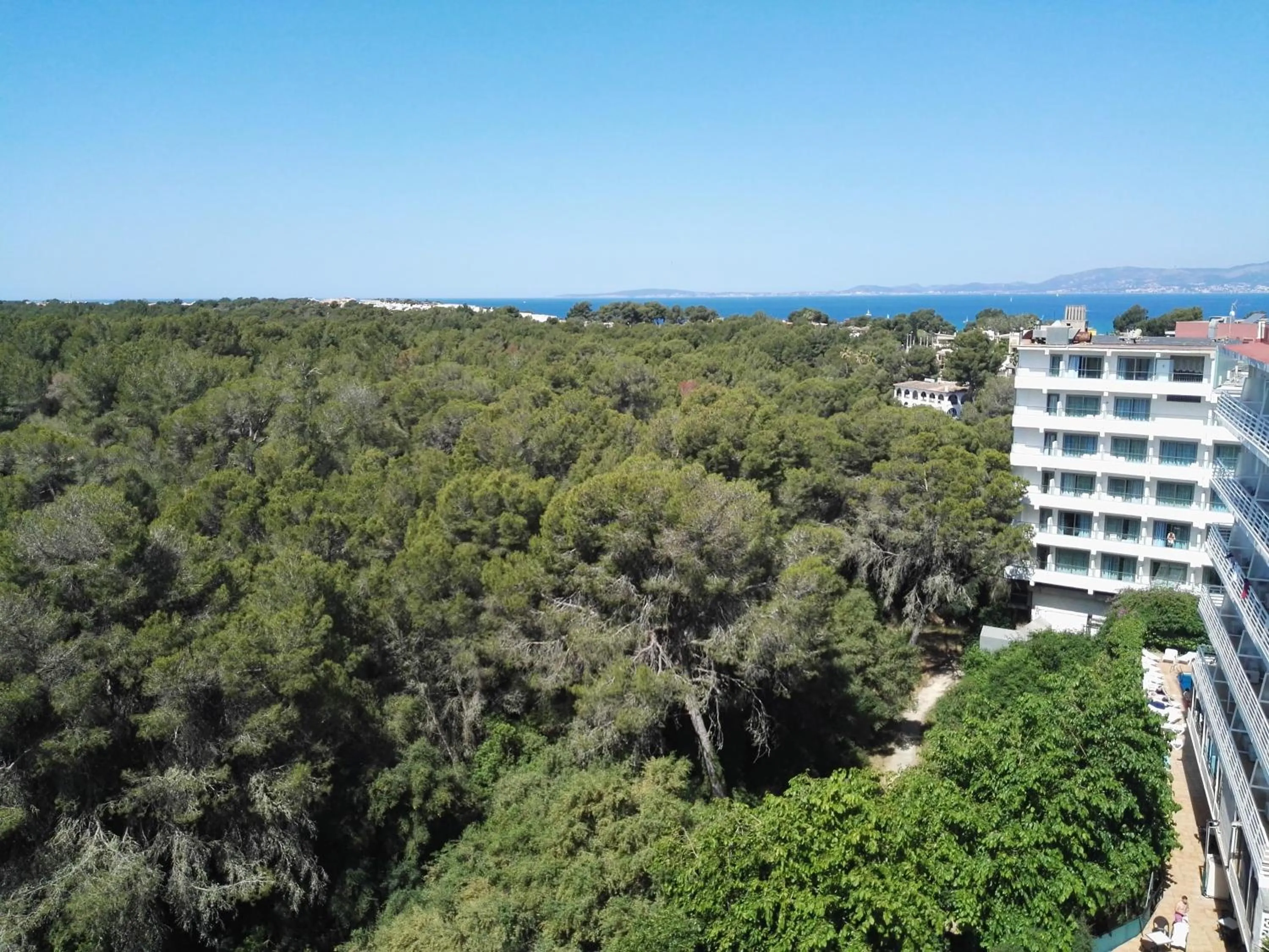 View (from property/room) in Hotel Manaus