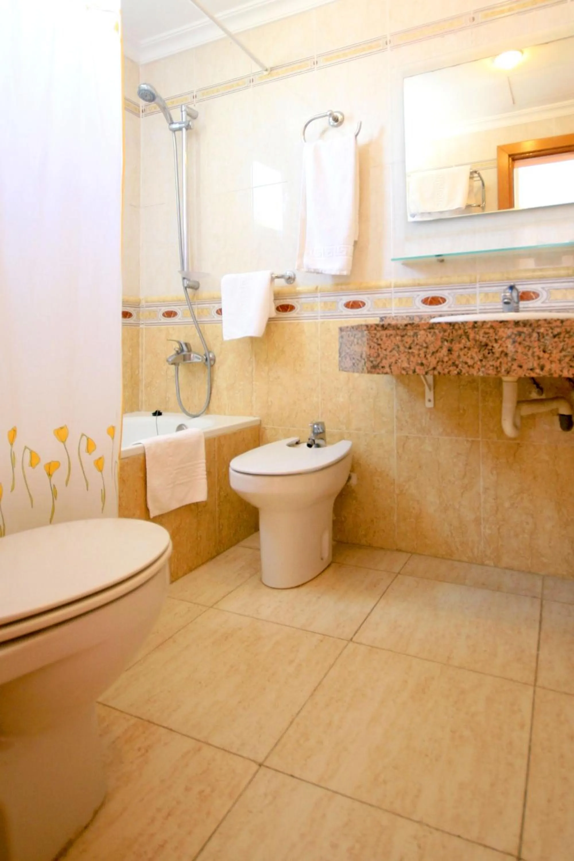 Toilet in Hotel Manaus