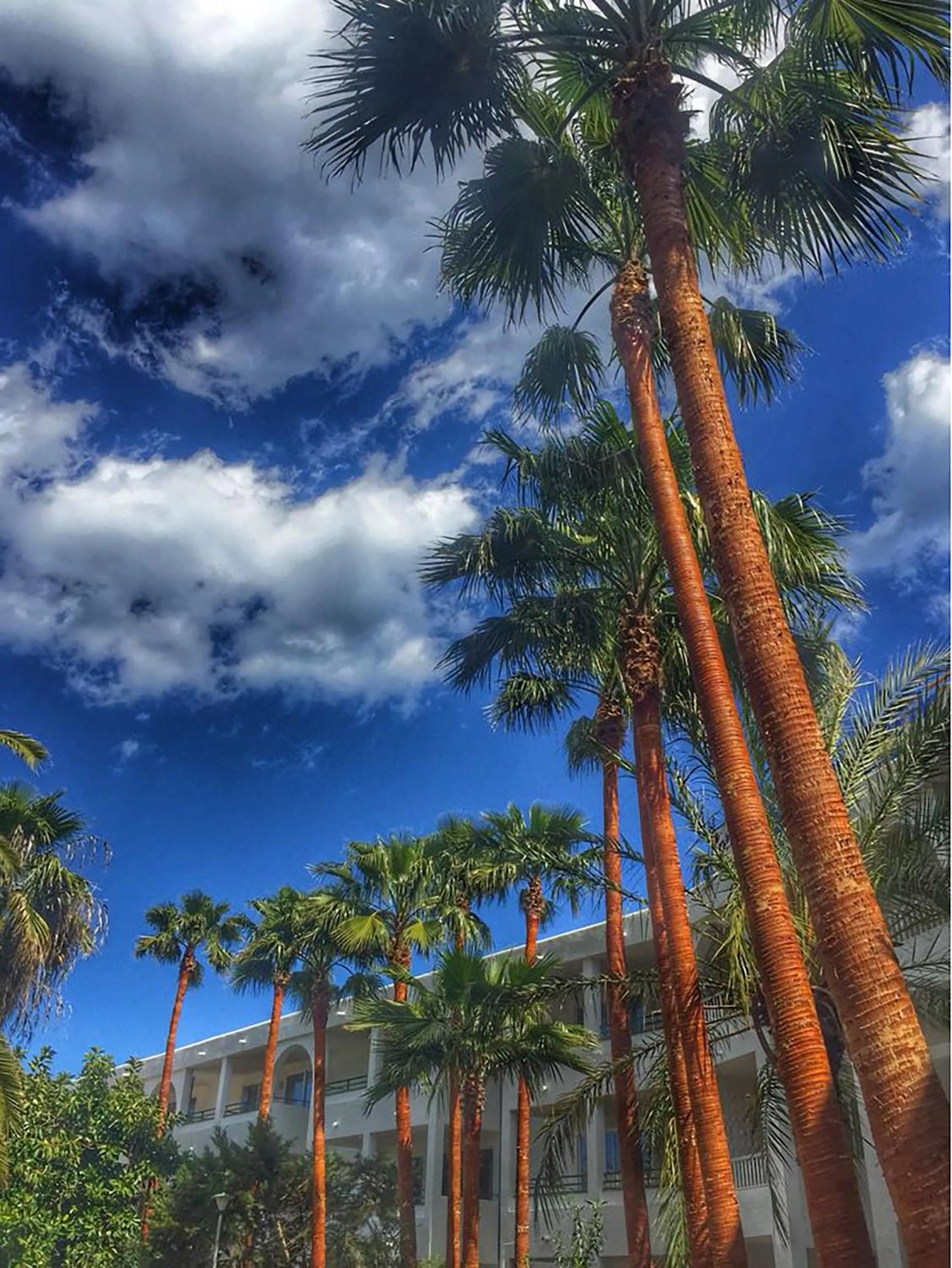 Other in Mallorca Cecilia